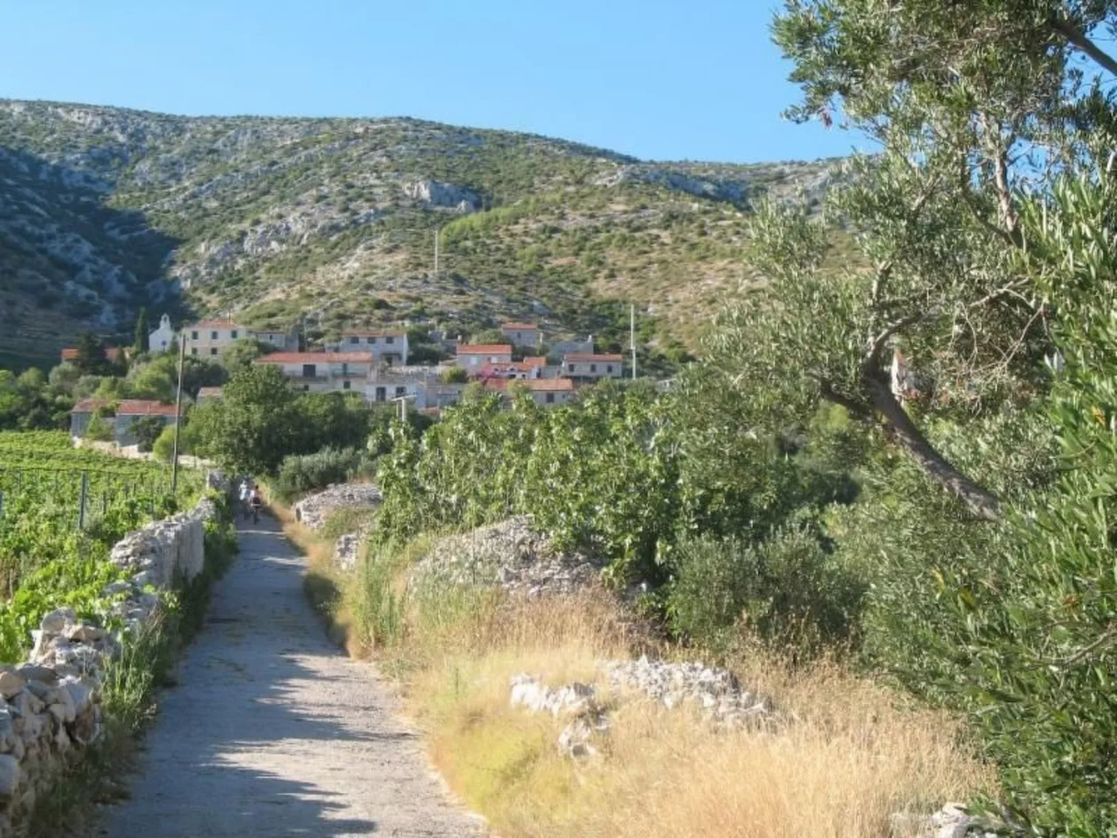Wohnung in Zavala mit schönem Garten-Buiten