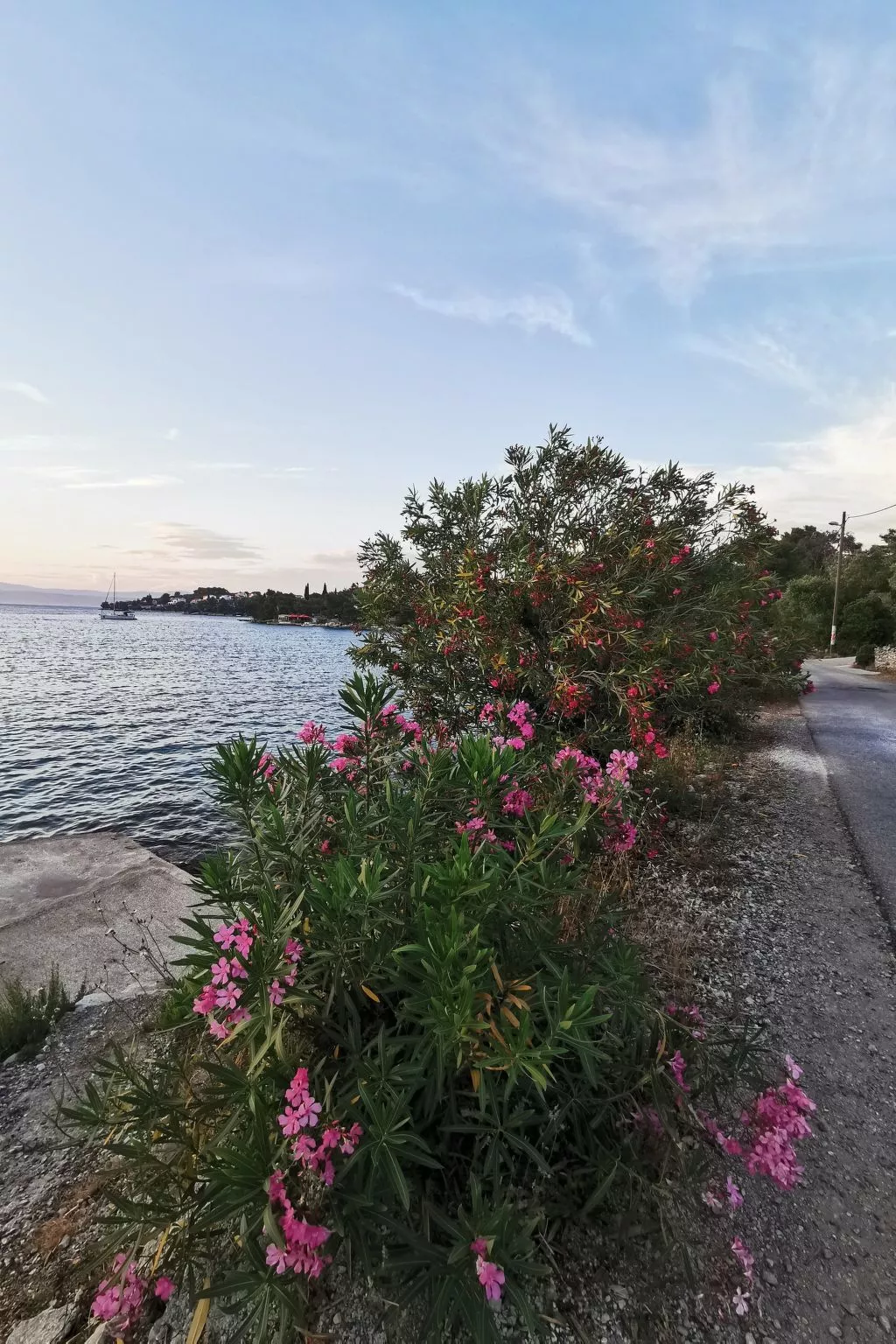 Apartment Bella mit Balkon und Terrasse in Necujam-Buiten