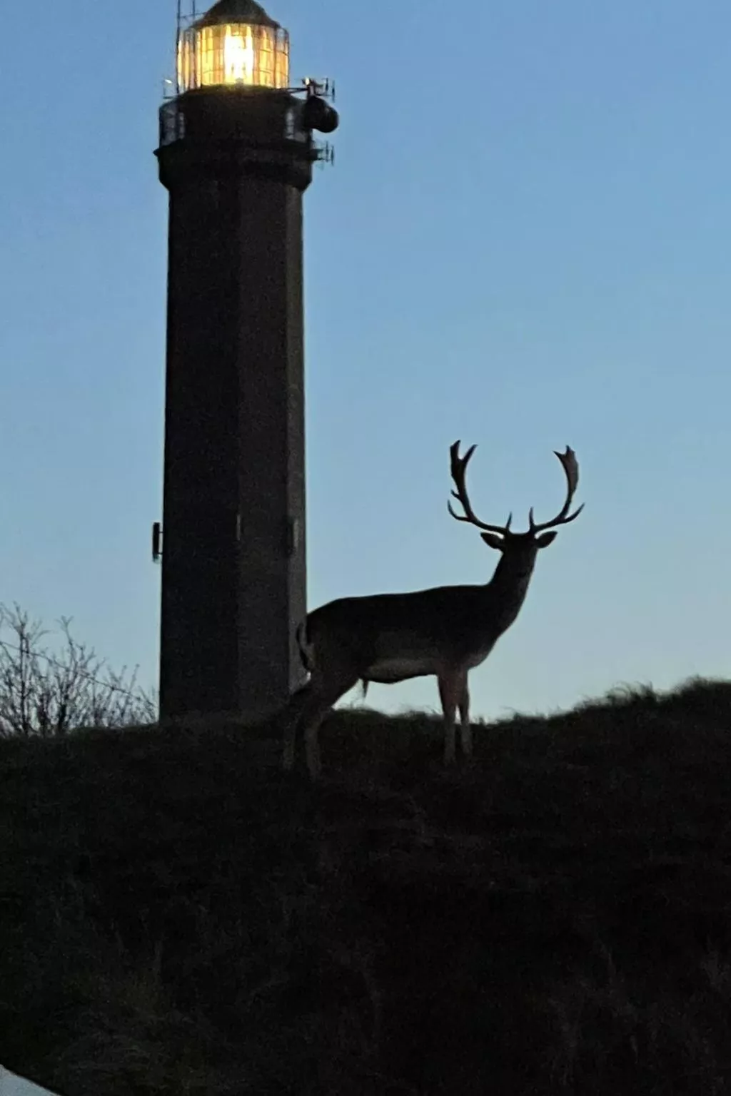 Für 4 Personen ca. 80 m&sup2; in Norderney, Norddeutschland (Niedersachsen)-Buiten