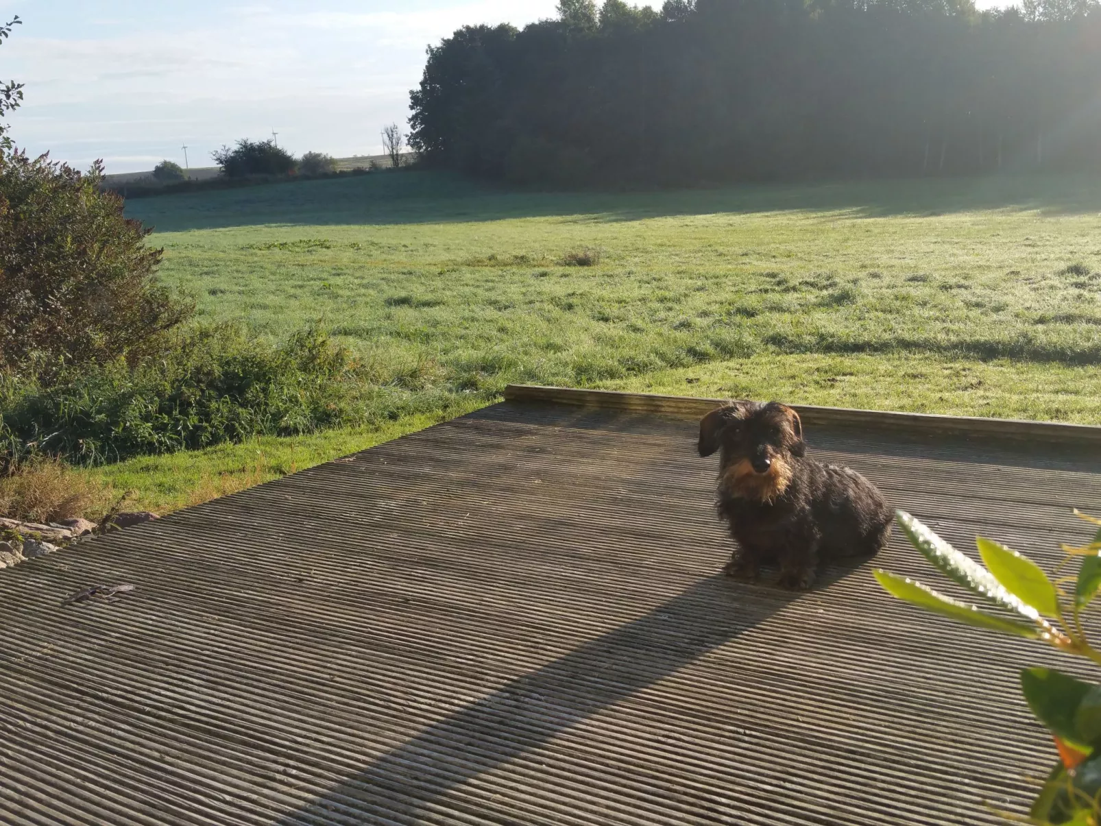 Haus-Zauberblau-Buiten