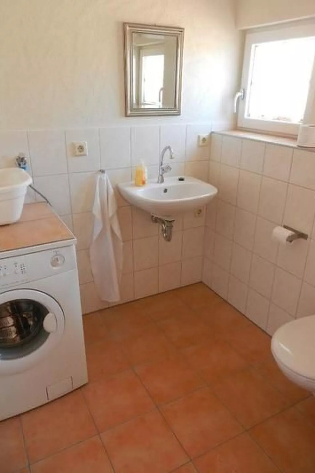 Tauchert-Image-tags.info