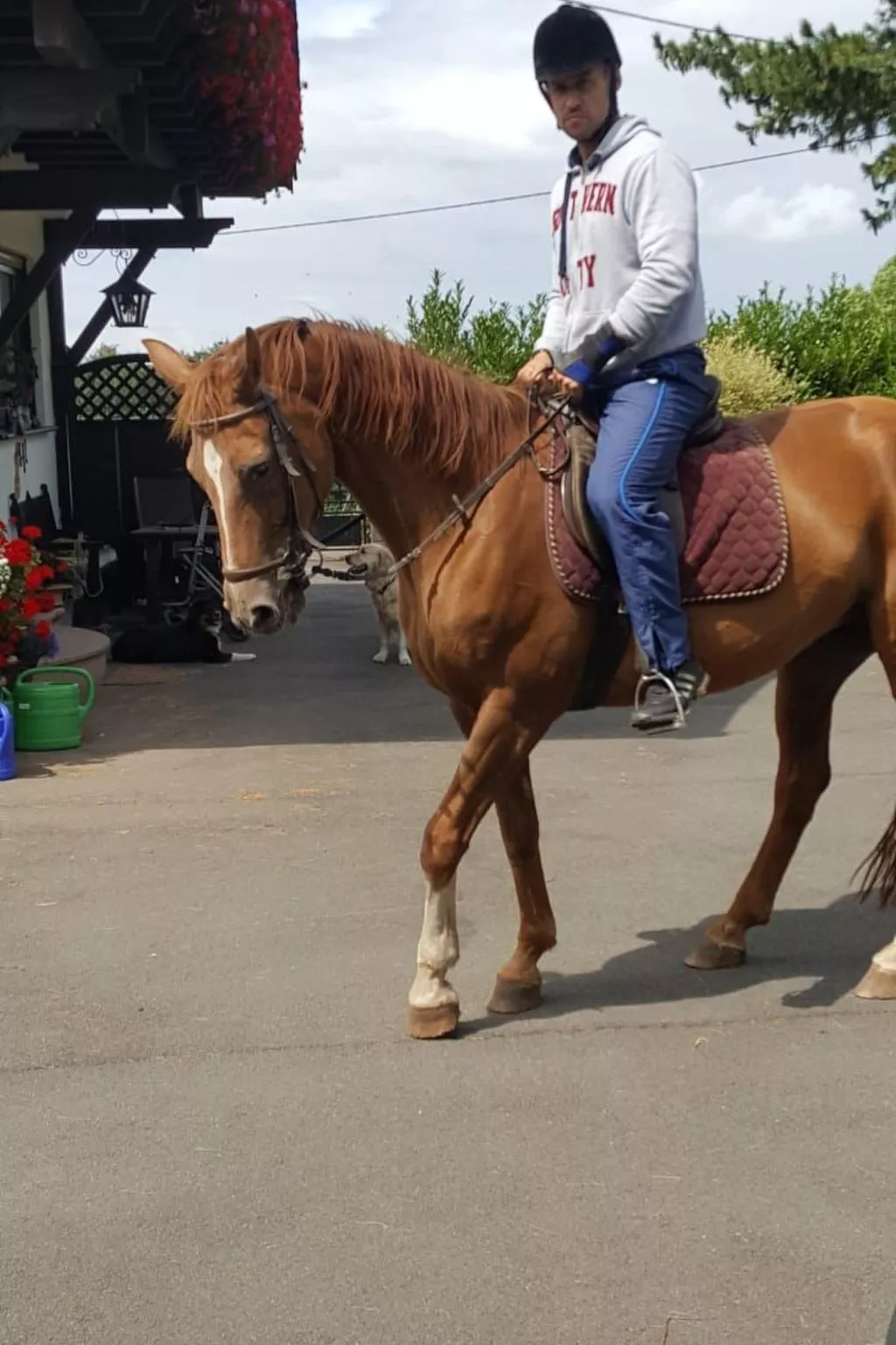 Herzfennerhof Loft-Image-tags.info