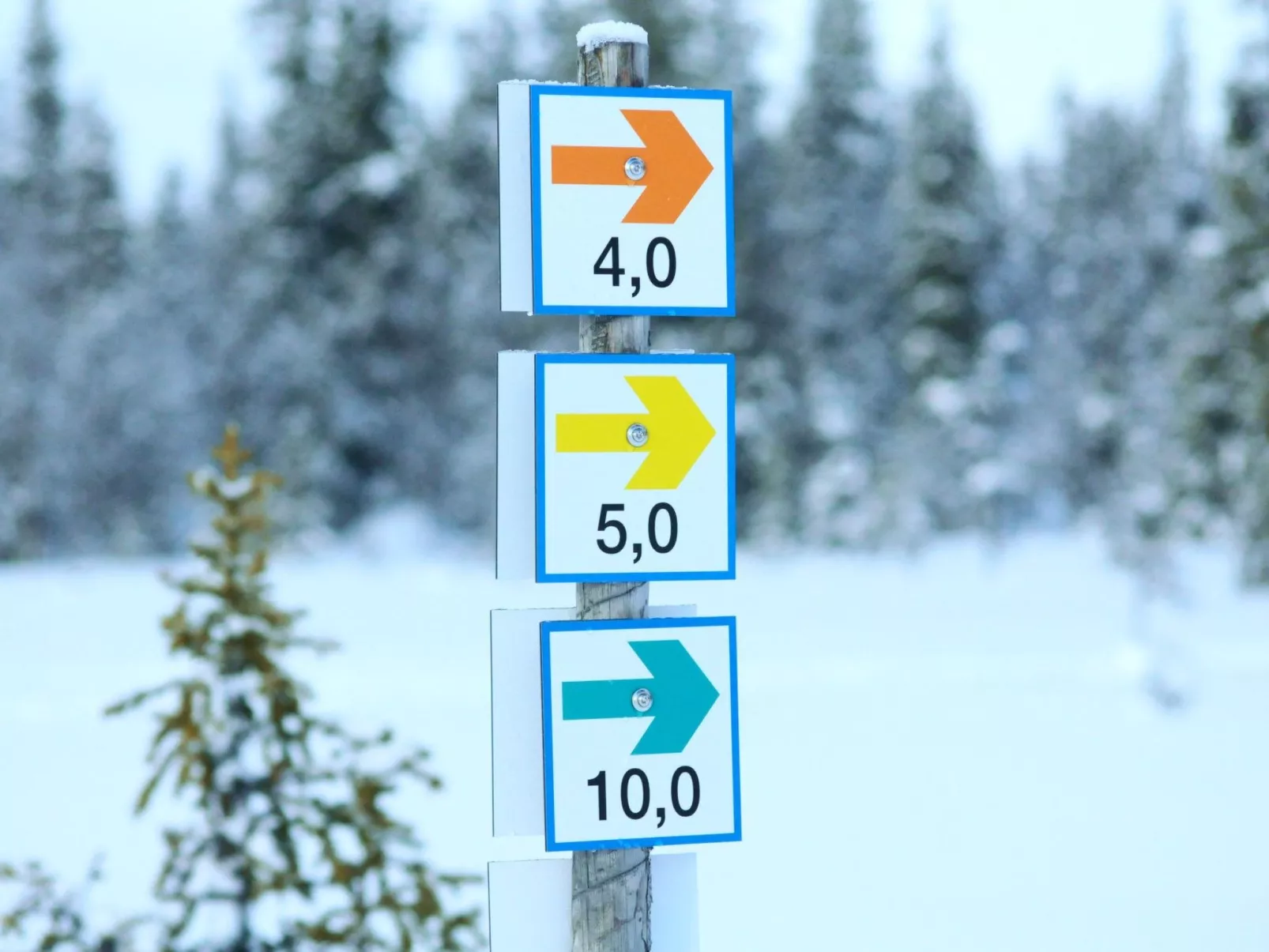 Gemütliches Blockhaus mit Kamin im Oviksfjäll-Image-tags.info