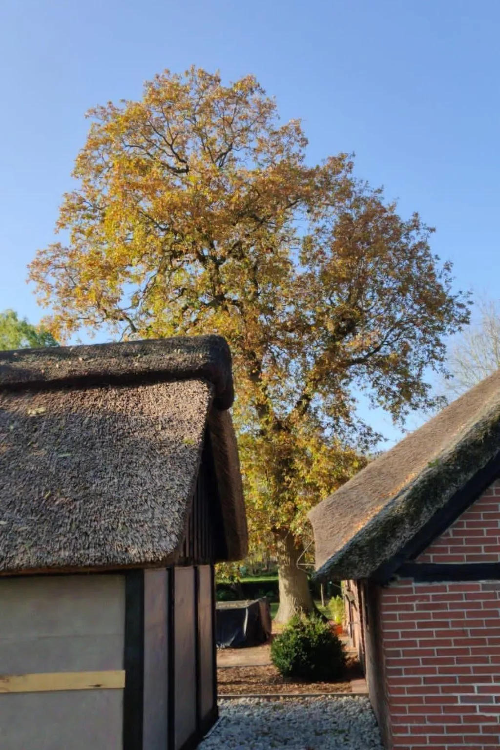 Reethaus Jadebusen-Binnen