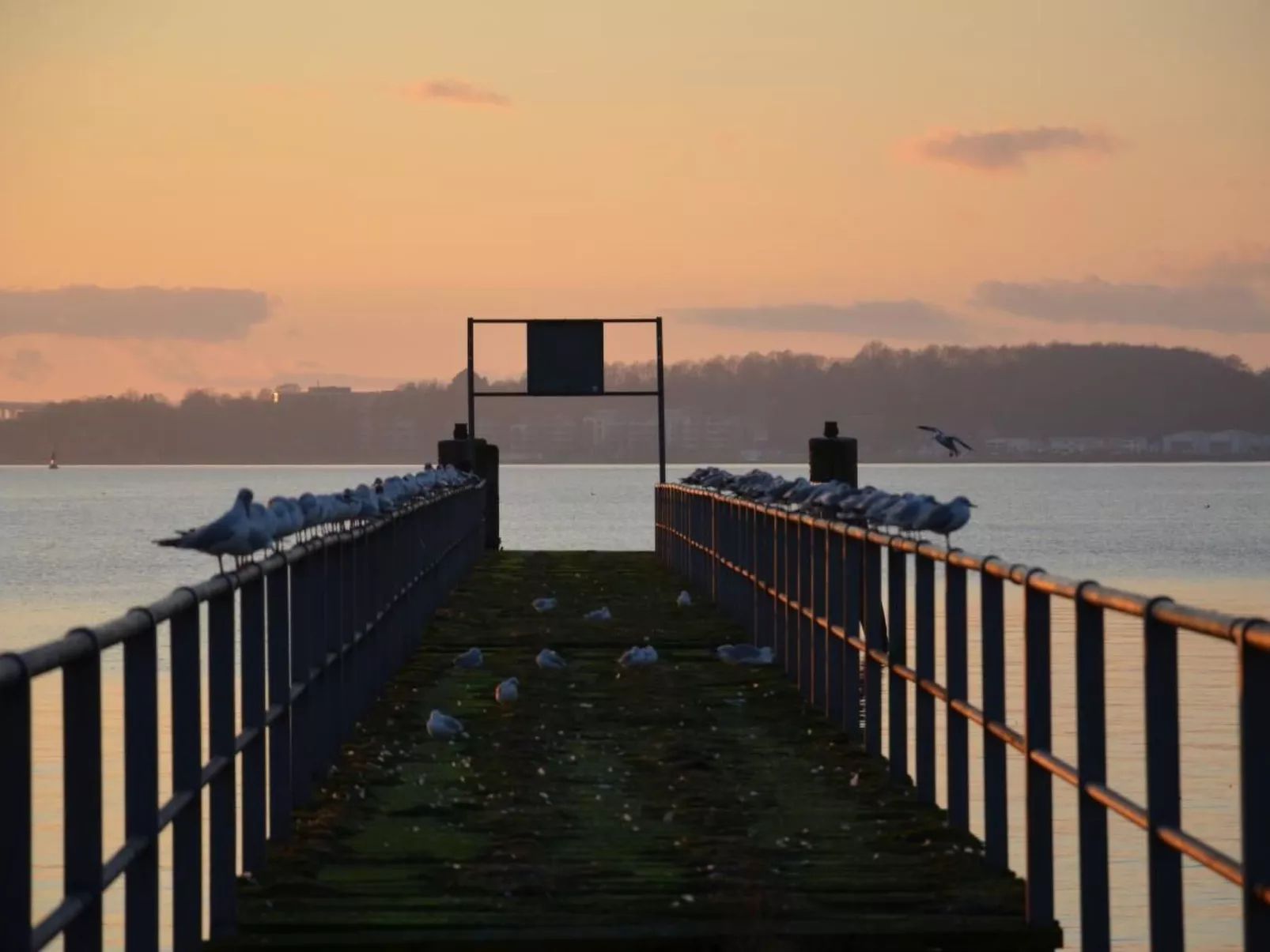 Tolle Wohnung in Krokau-Buiten