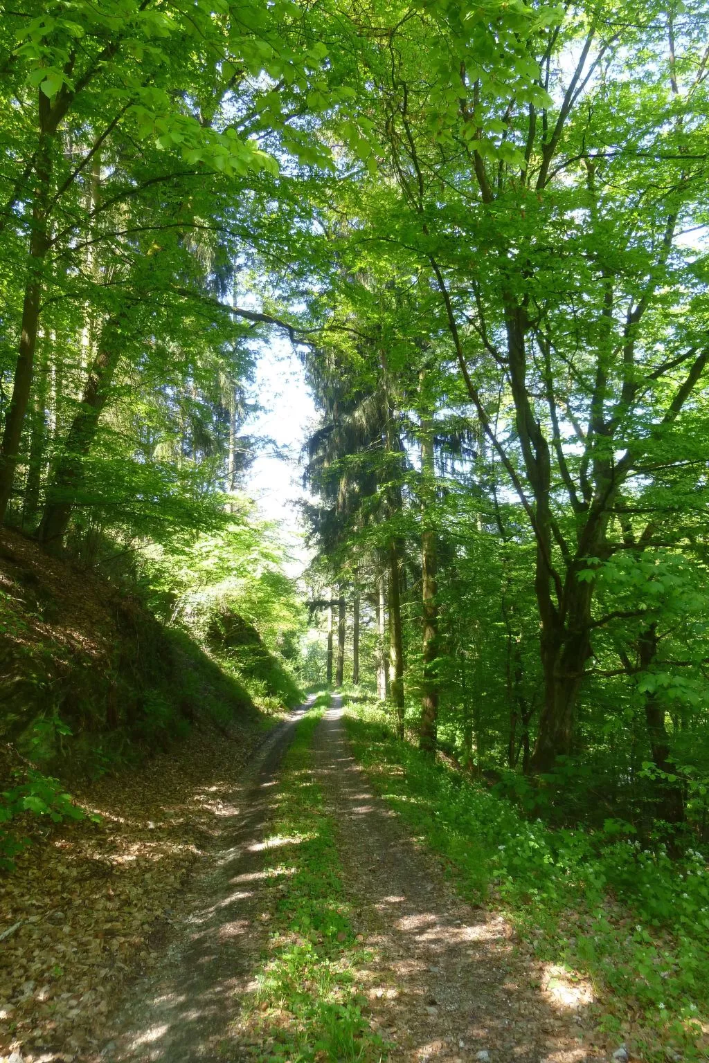 Moselschiefer-Traumferienwohnung am Moselufer-Buiten