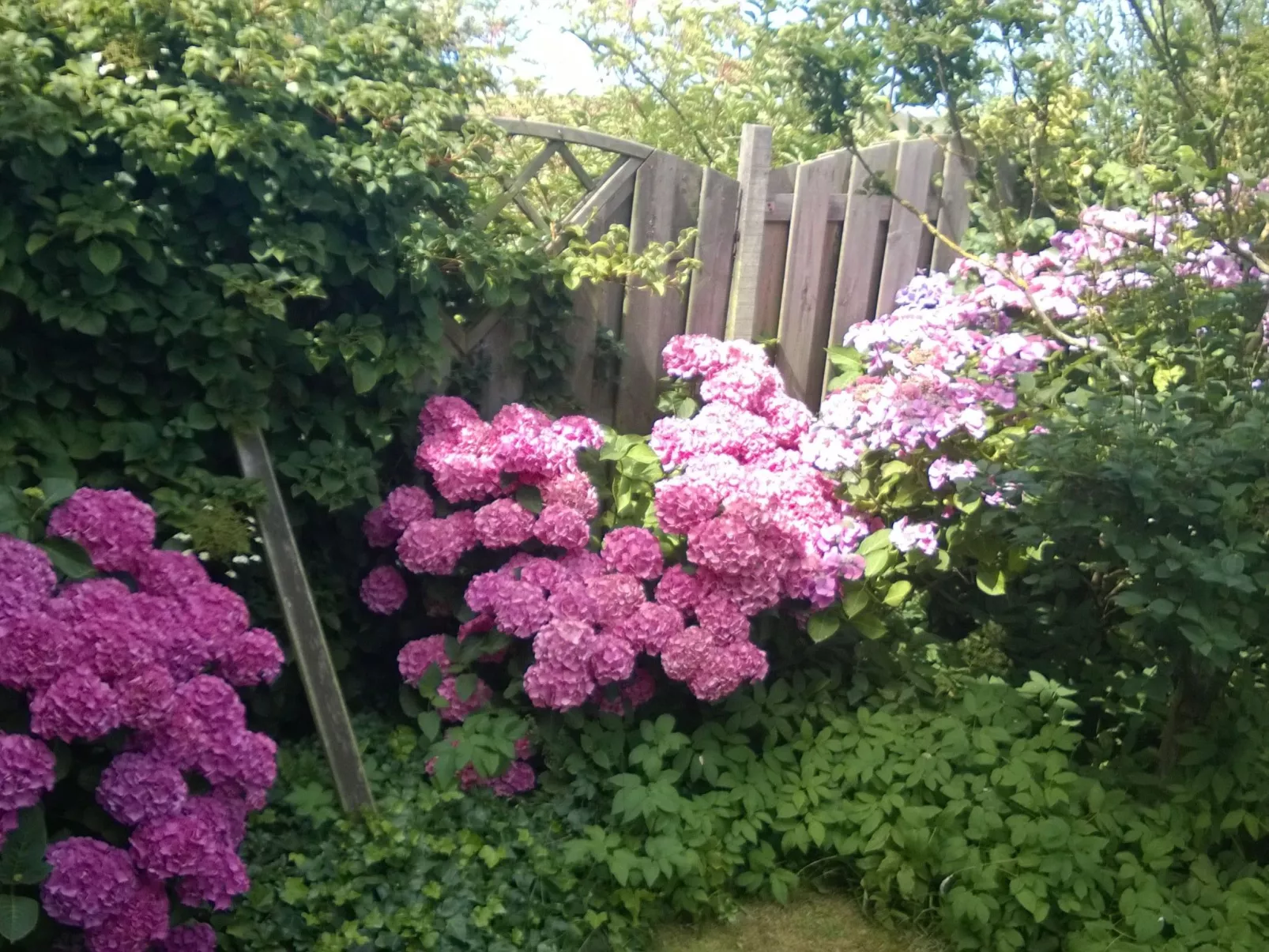 "Casa Juliana" mit privatem Garten-Buiten