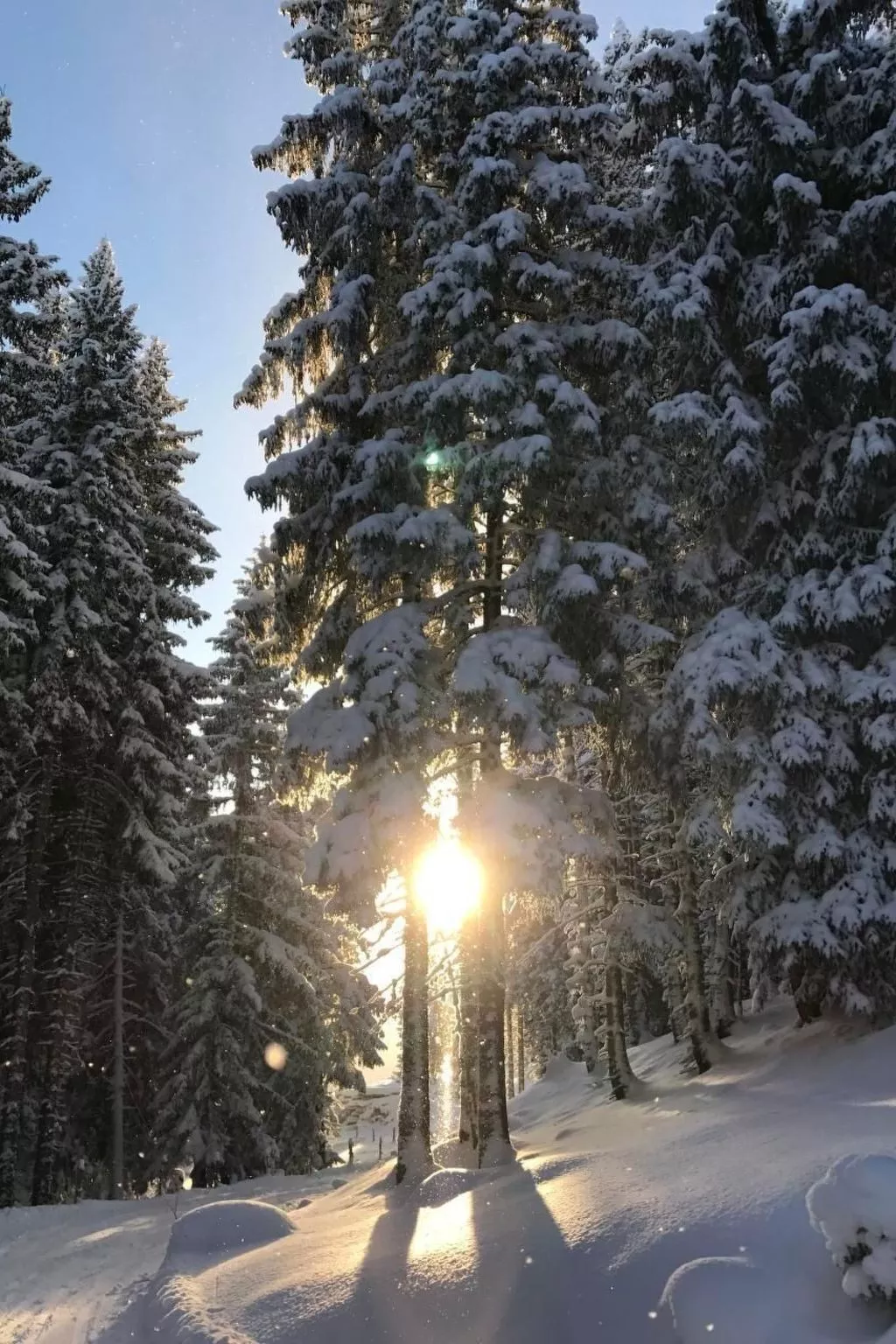 Wohnung Schluein-Buiten