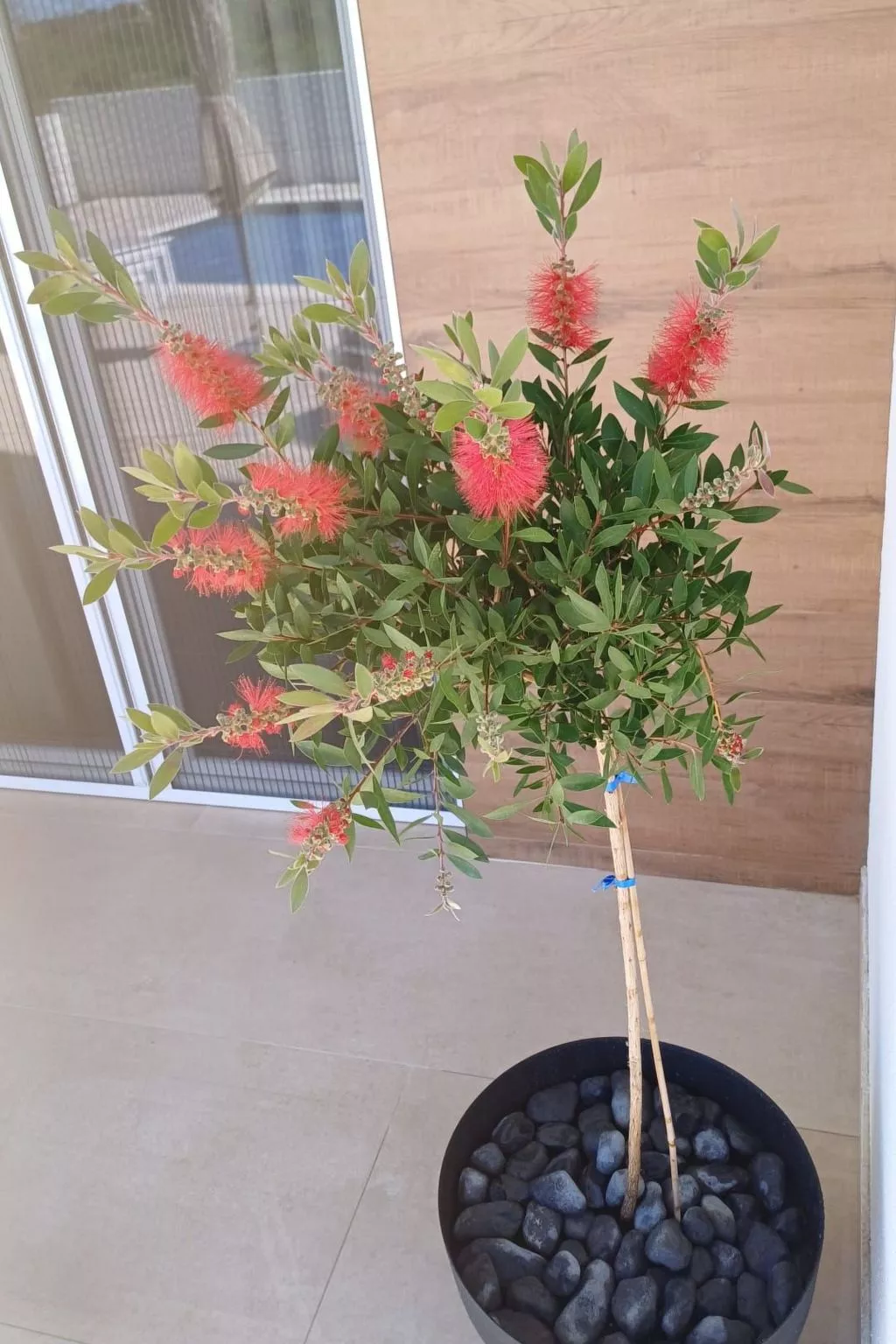 Neue Villa Angelo mit Sauna und beheiztem Pool-Buiten