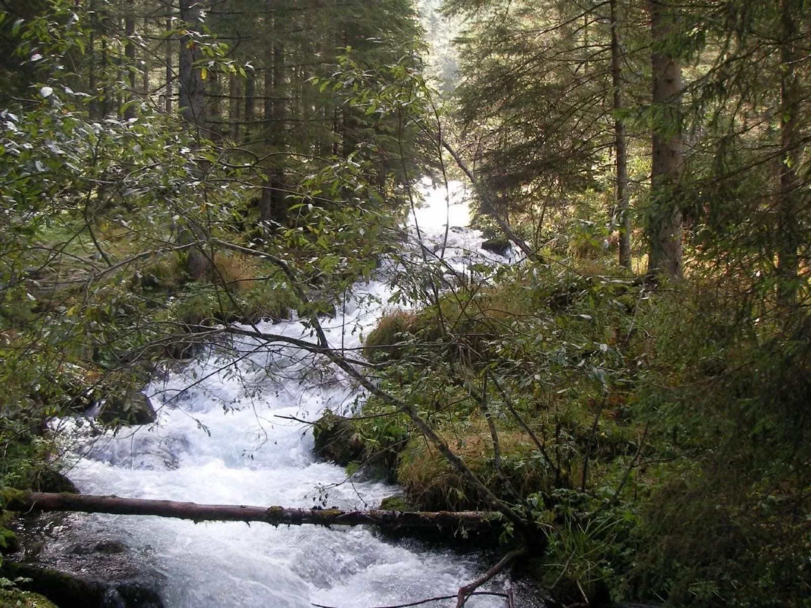 Haus "Hermann"-Buiten