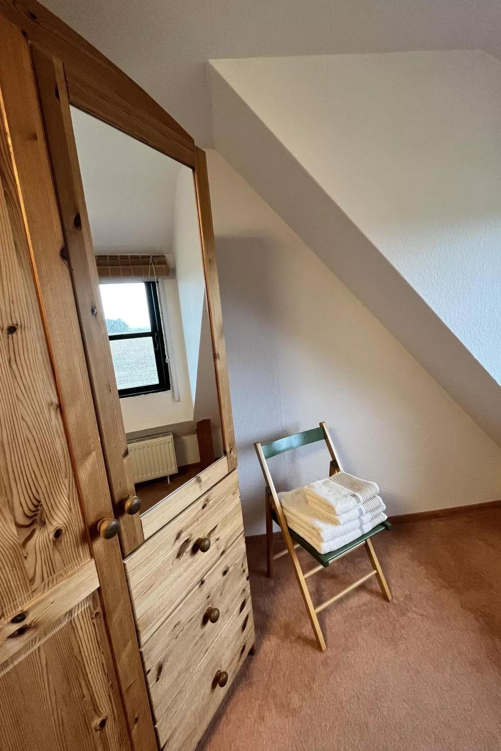 Möwe in Ummanz-Lüßvitz-Binnen