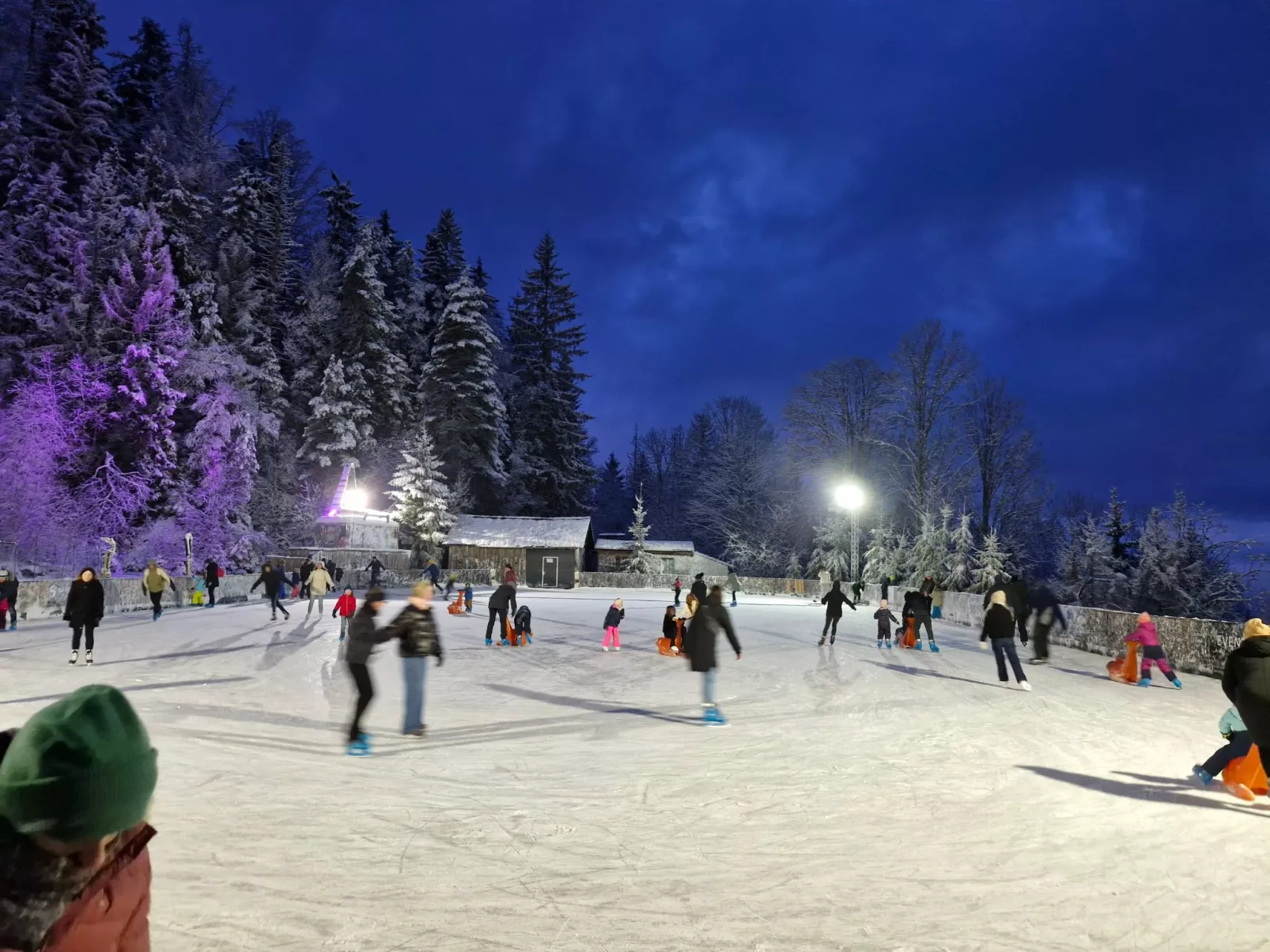 Schwarzwald Königin-Buiten