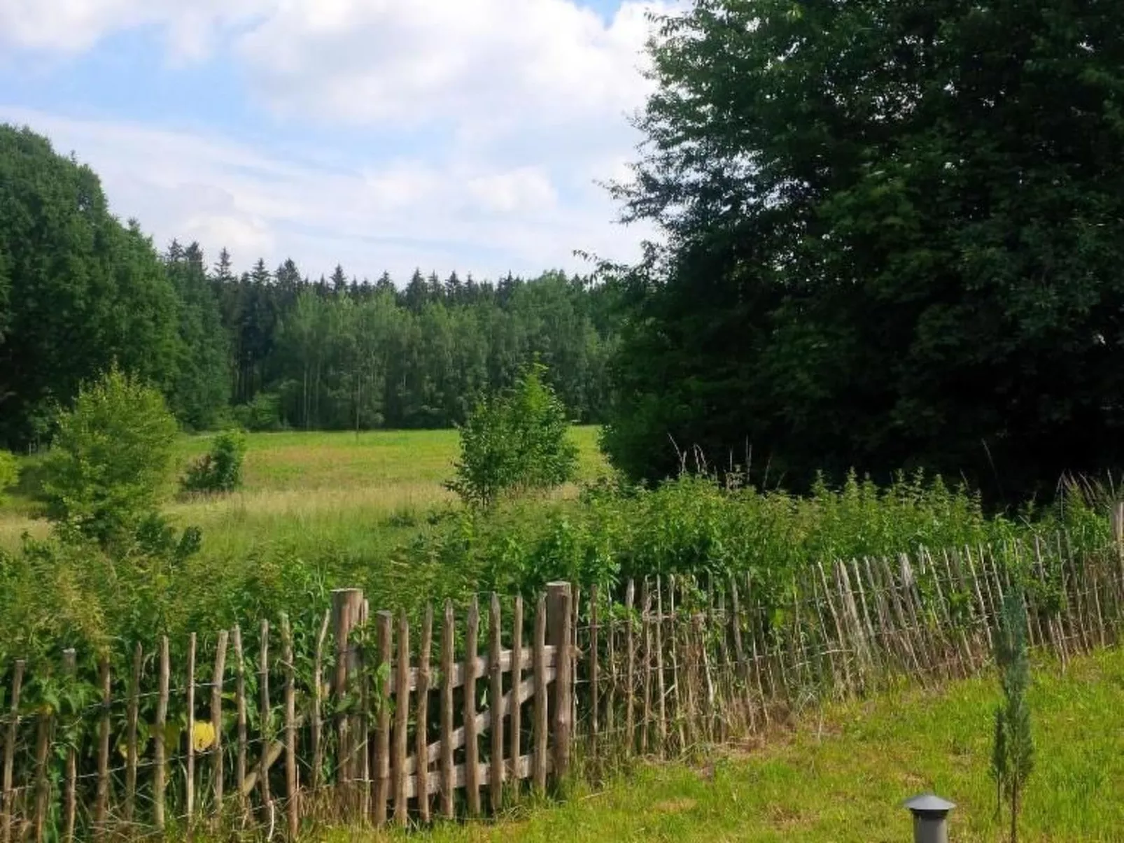 Nasze Chabazie-Buiten