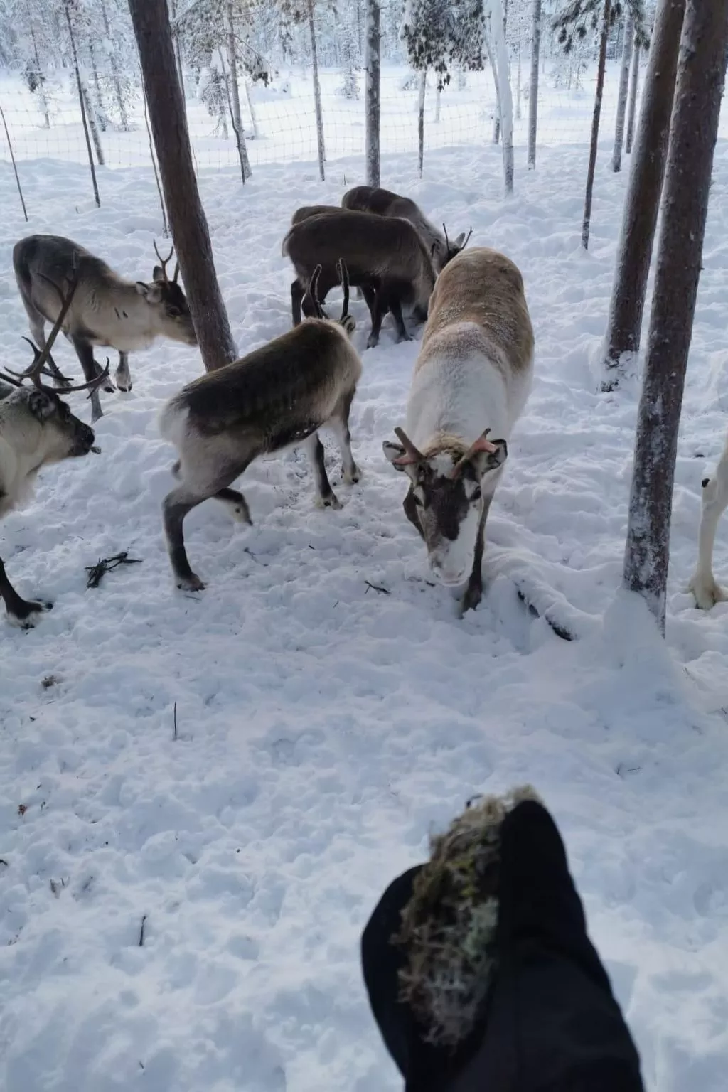 Villa Hugo-Image-tags.info