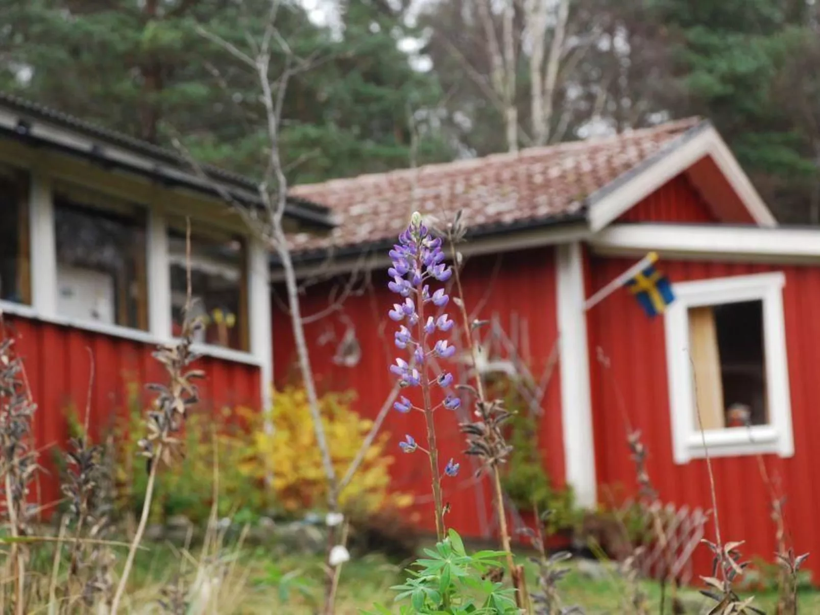 Idyllisch gelegenes, ebenerdiges Haus mit Terrasse-Buiten