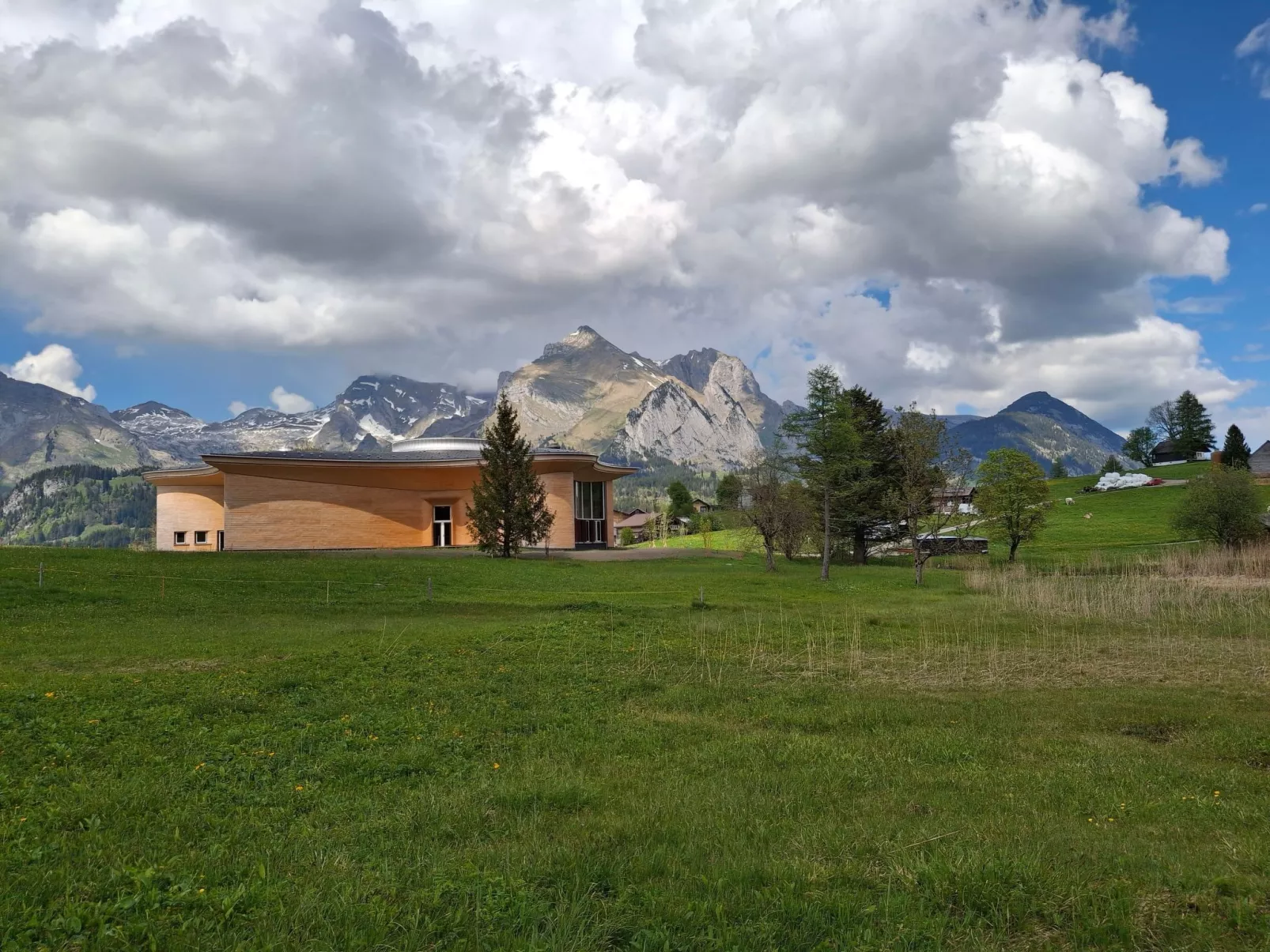 Wisli-Image-tags.info