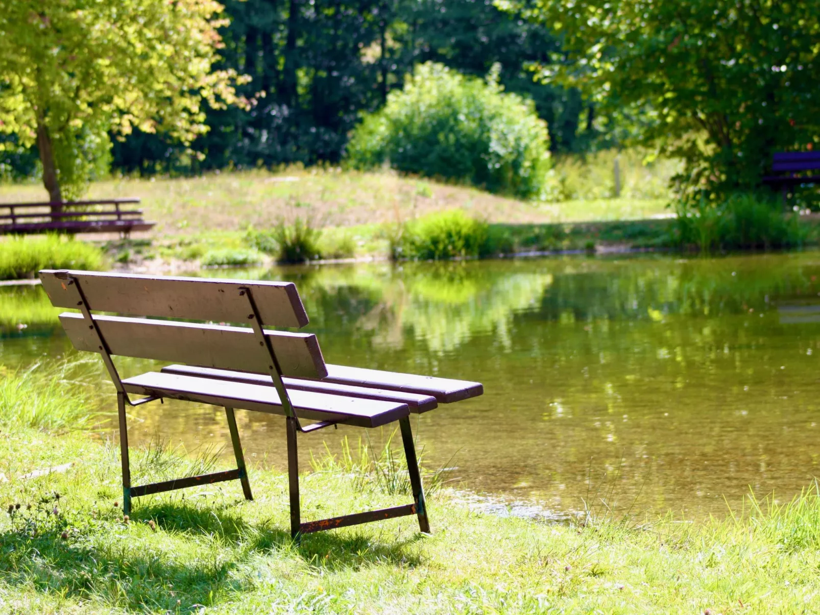 Am Wald gelegenes Ferienhaus "Wolf" mit Kamin-Buiten