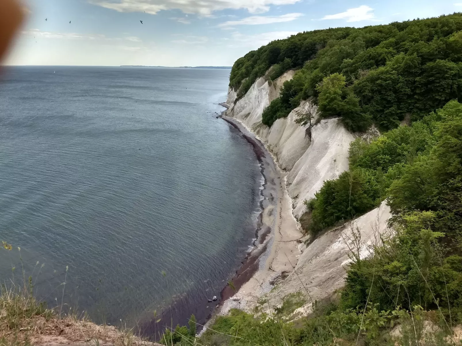 Schmetterling-Binnen