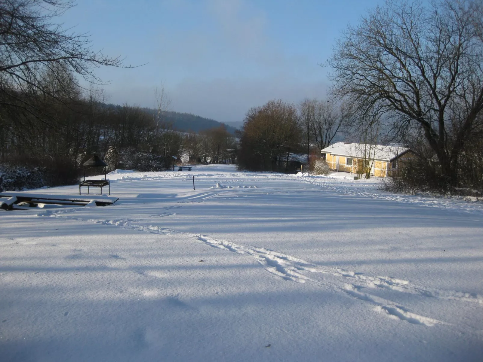 Robinson-Image-tags.info