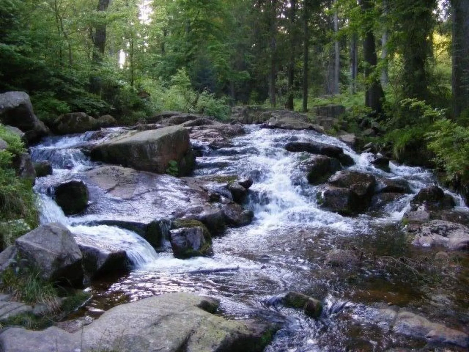 Gemütliche Ferienwohnung für die ganze Familie-Buiten