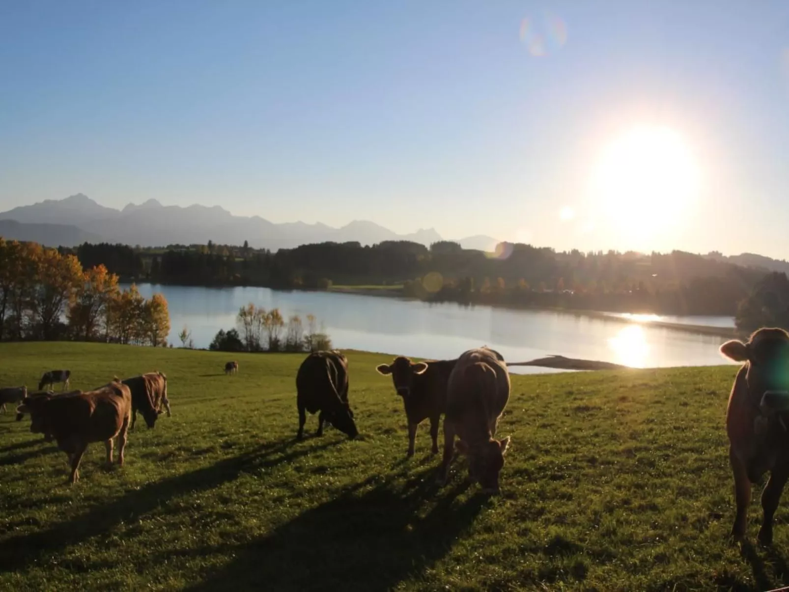 Mit Blick auf das Wasser-Buiten