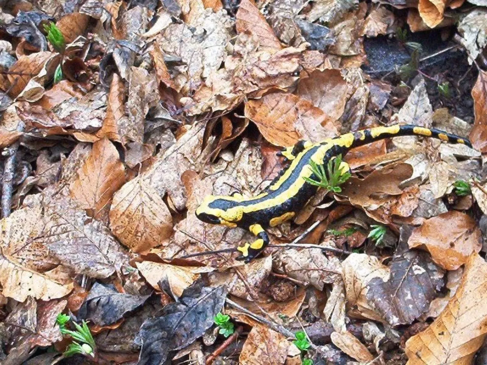 Fewo Stricker 23-Buiten