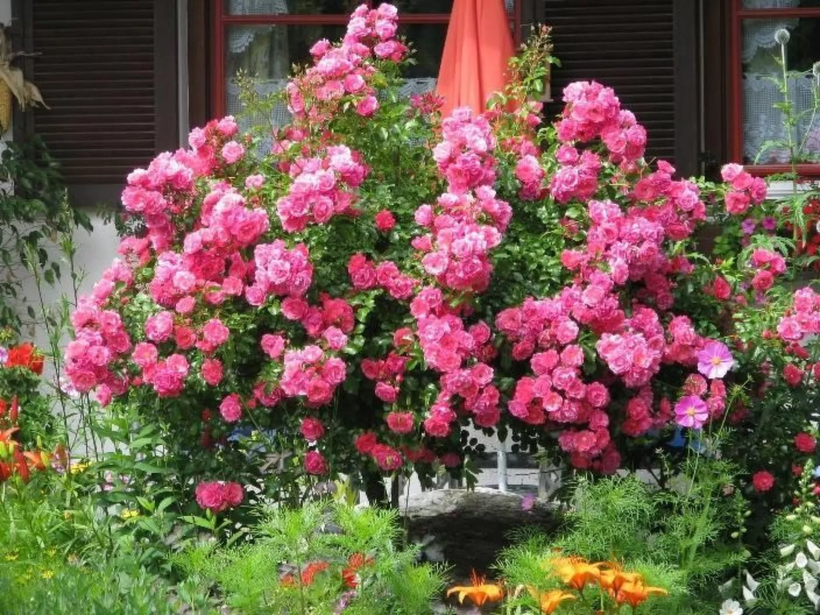 Studio barrierefrei - Buiten