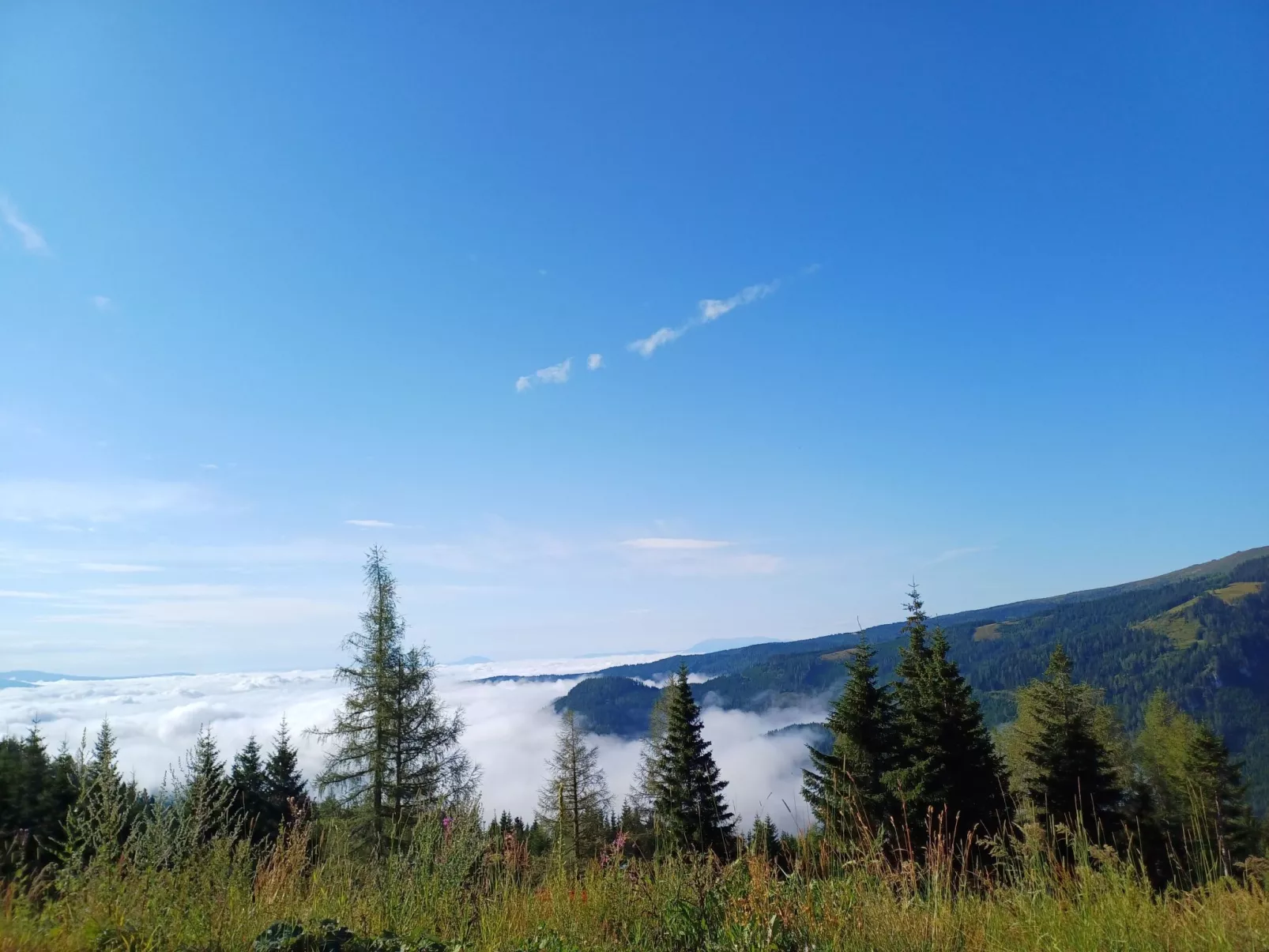 Gemütliche Almhütte direkt im Skigebiet-Binnen
