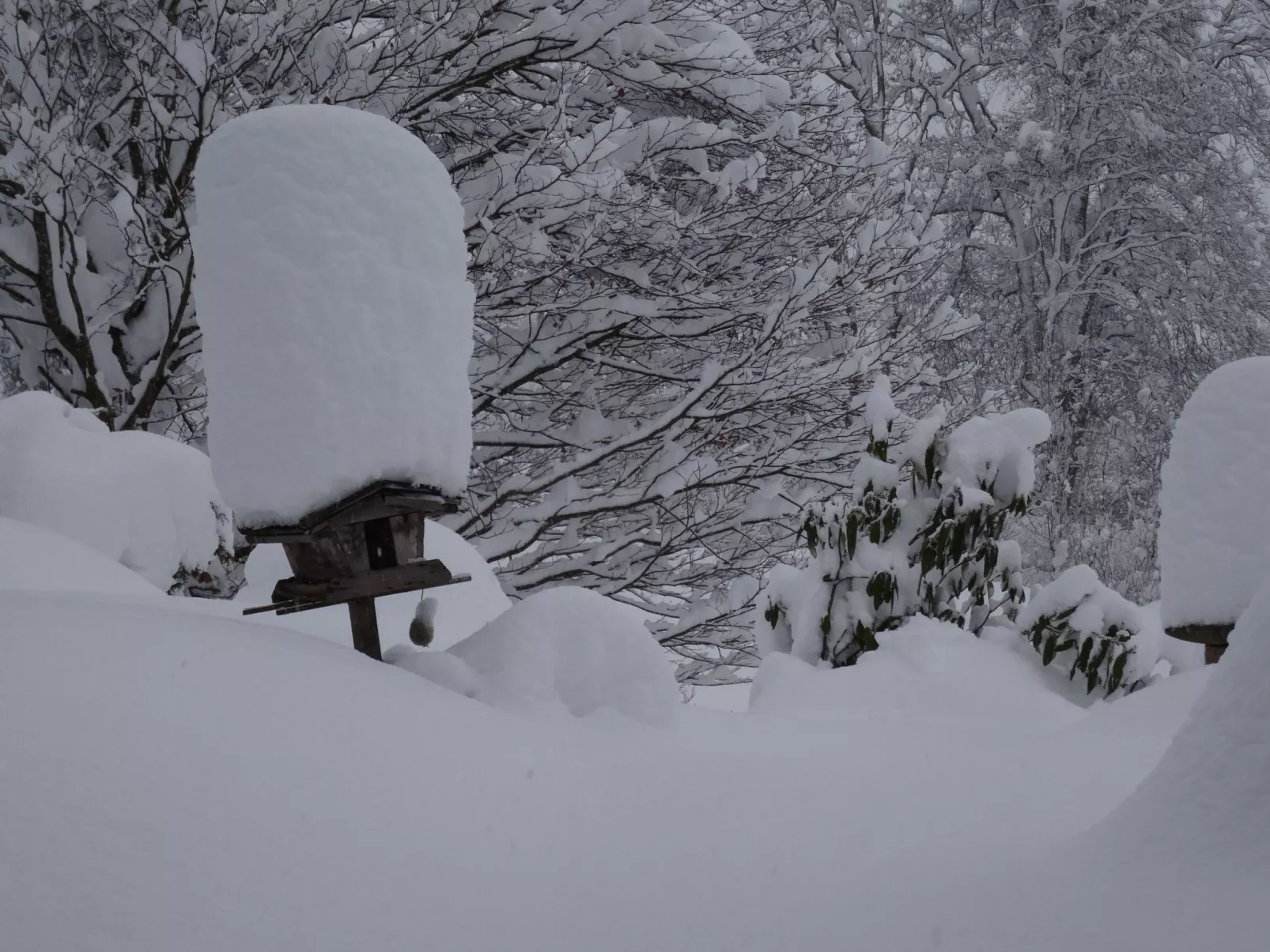 Hans Ebner in Eben im Pongau-Buiten