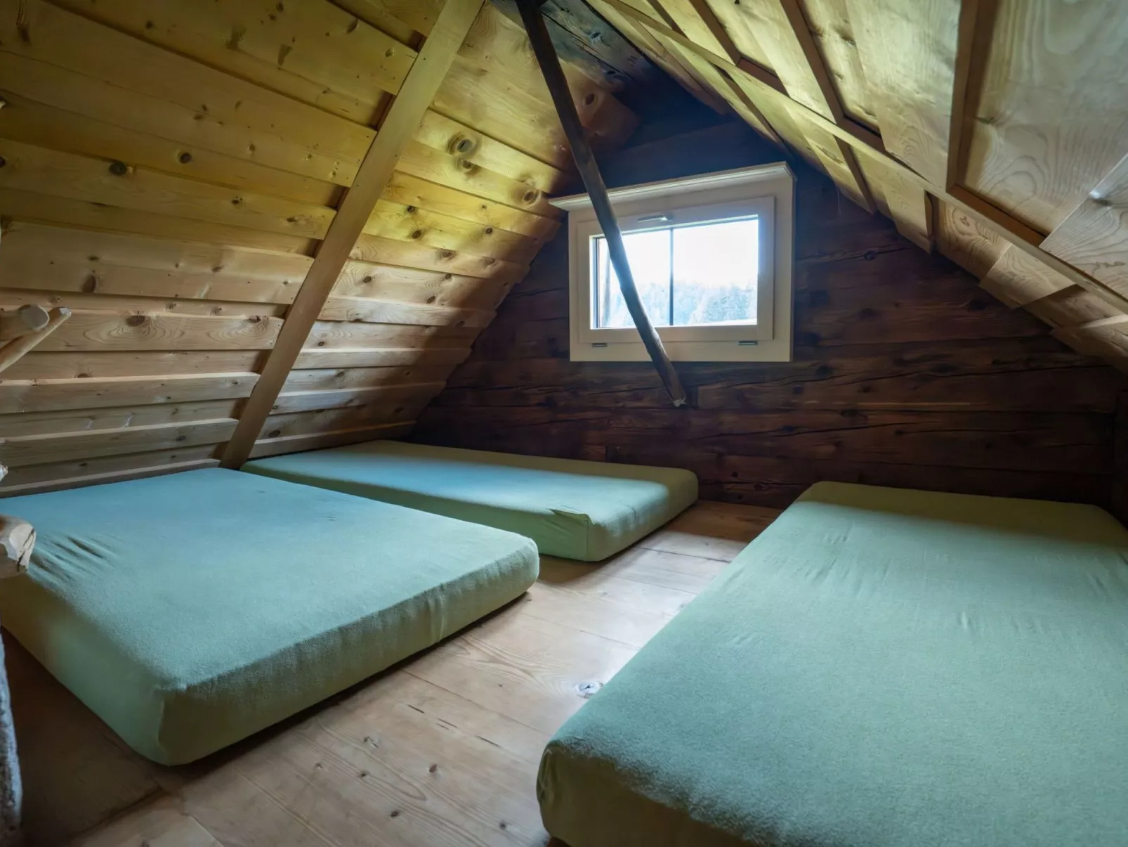 Speerblick-Image-tags.info