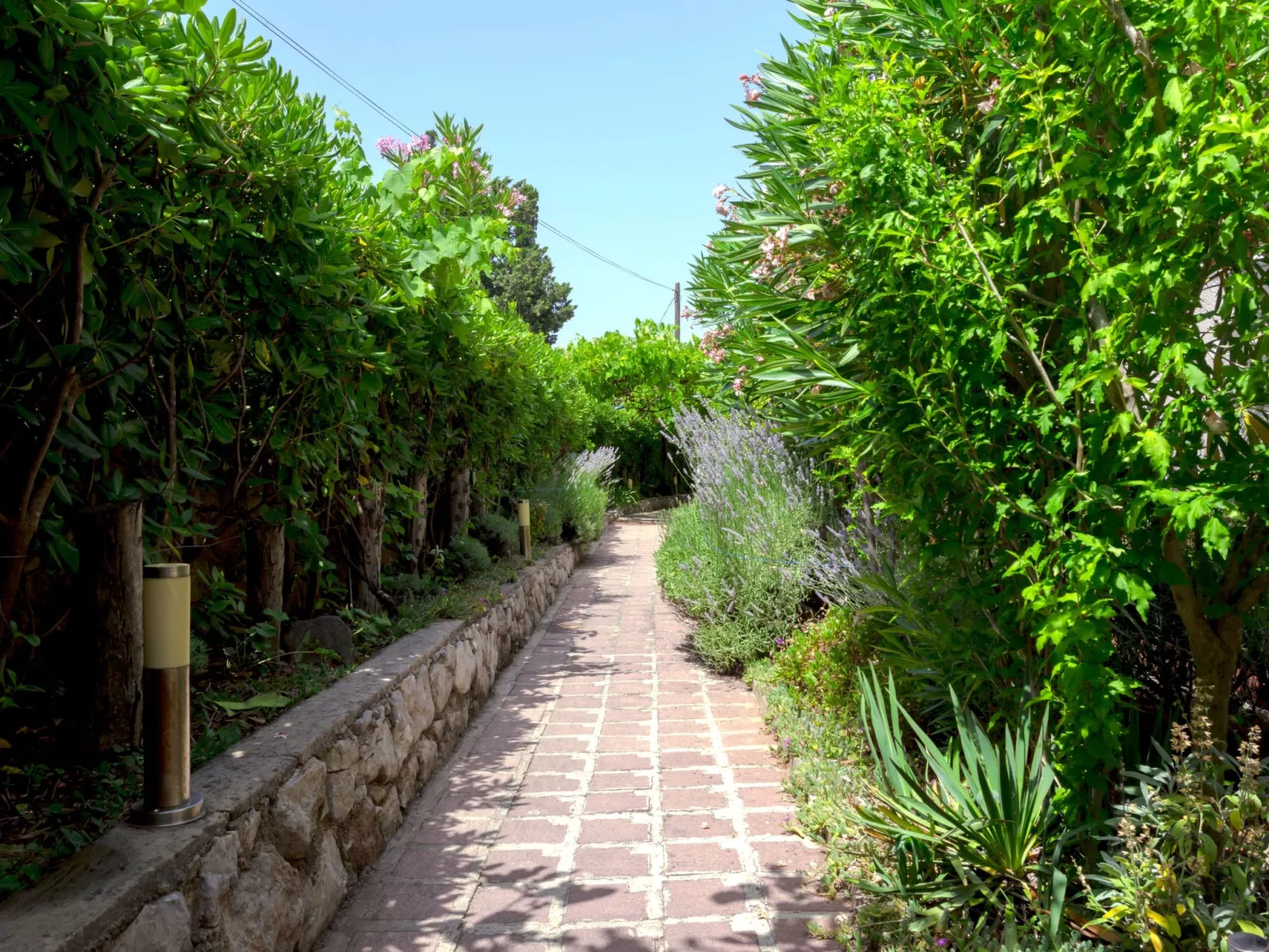 "Buka Calm II"-Binnen