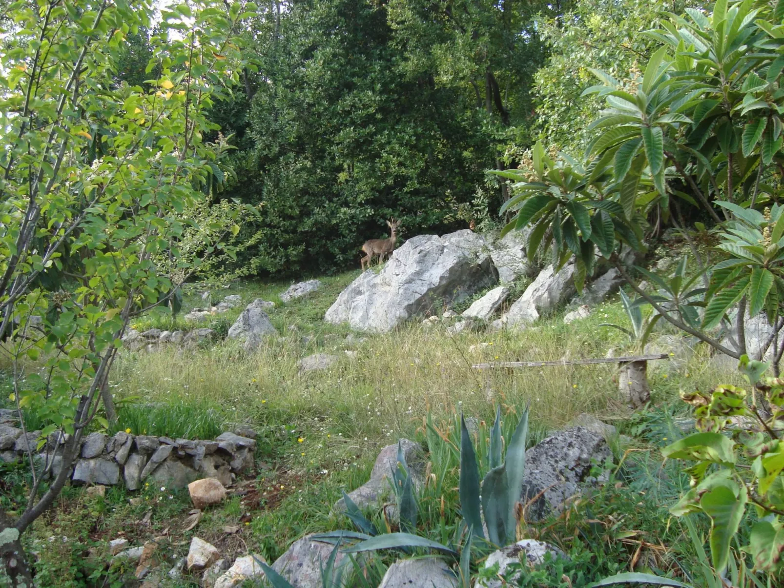Mit Balkon und Terrasse-Buiten