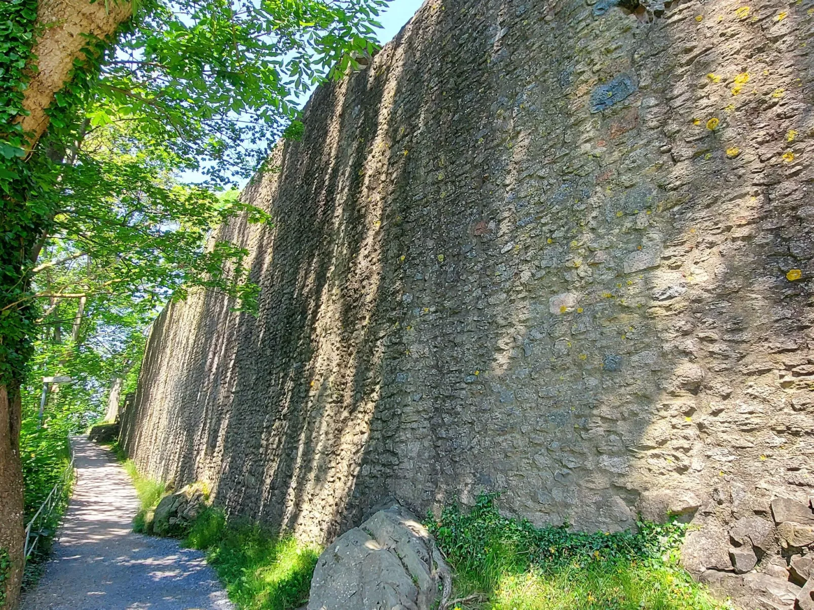 Wanderfalke II-Buiten