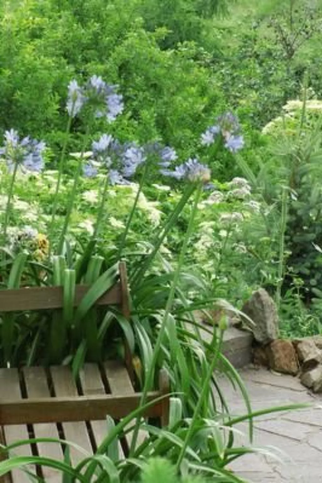 Mund-Image-tags.info