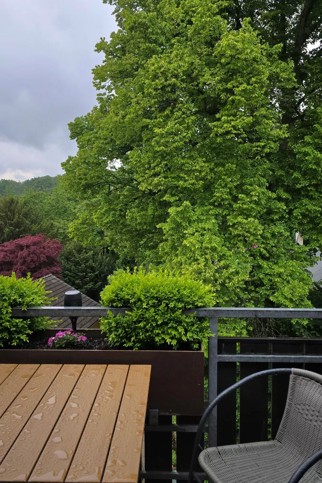 WALDLIEBE ♡-Buiten