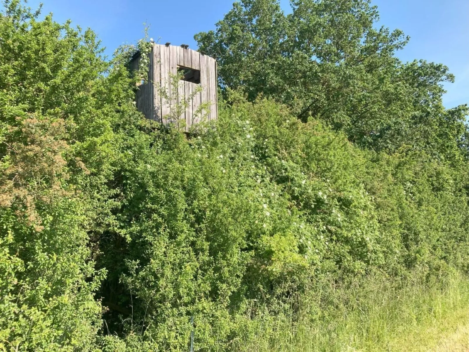 Bungalow Mecklenburgische Seenplatte-Image-tags.info