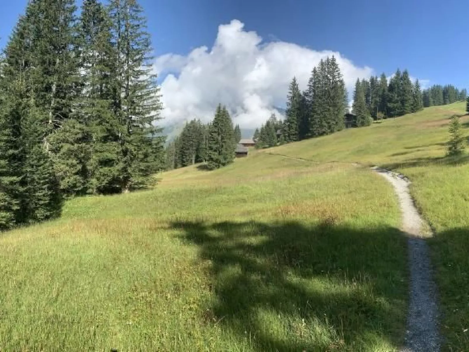 Chalet Bärgblüemli-Binnen