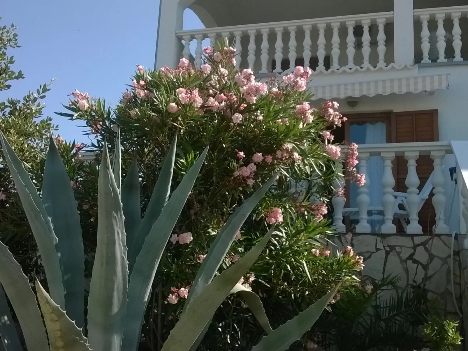 Apartment mit Meerblick-Buiten