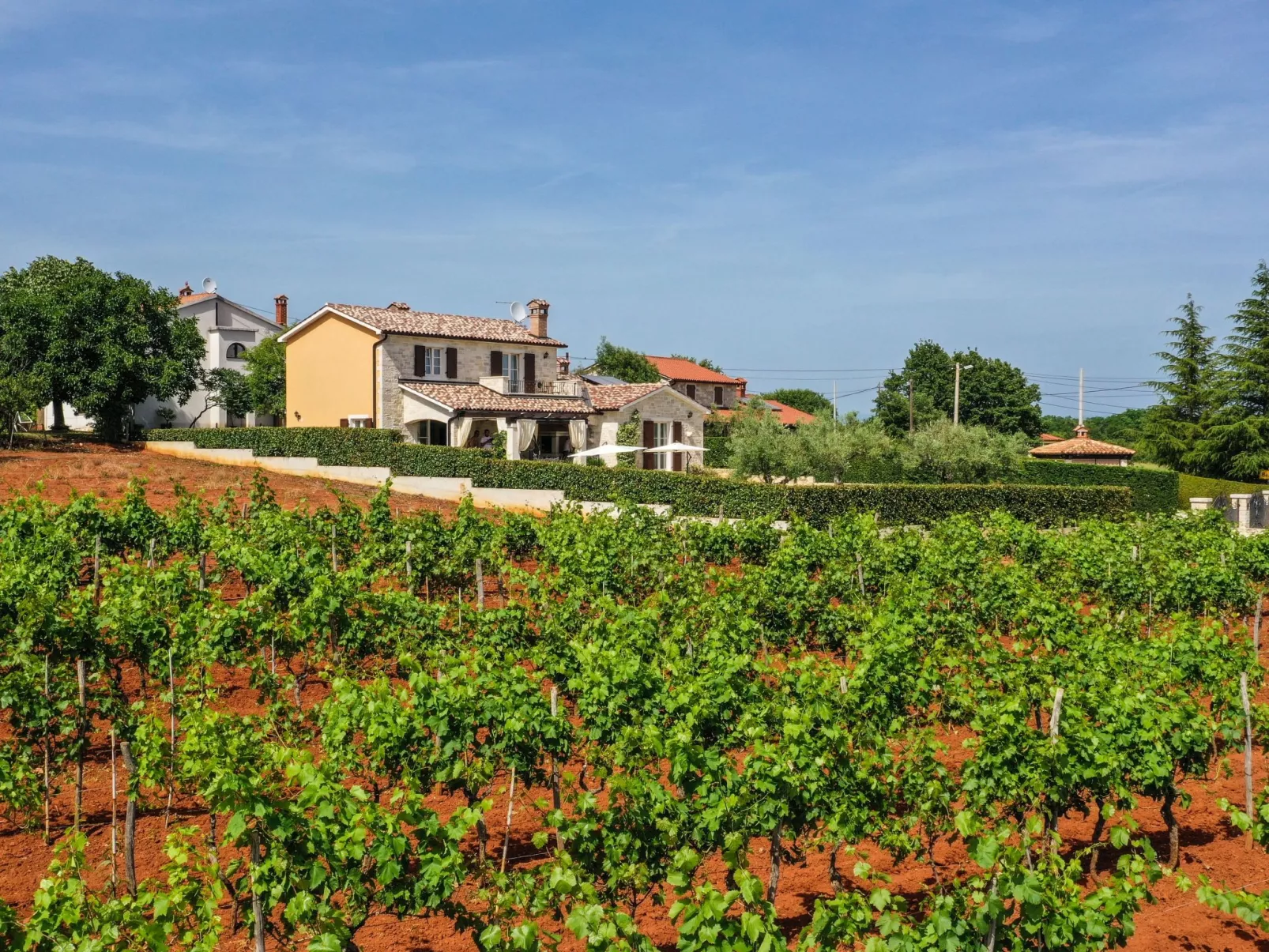 Villa Elizabet bei Porec mit Pool-Buiten