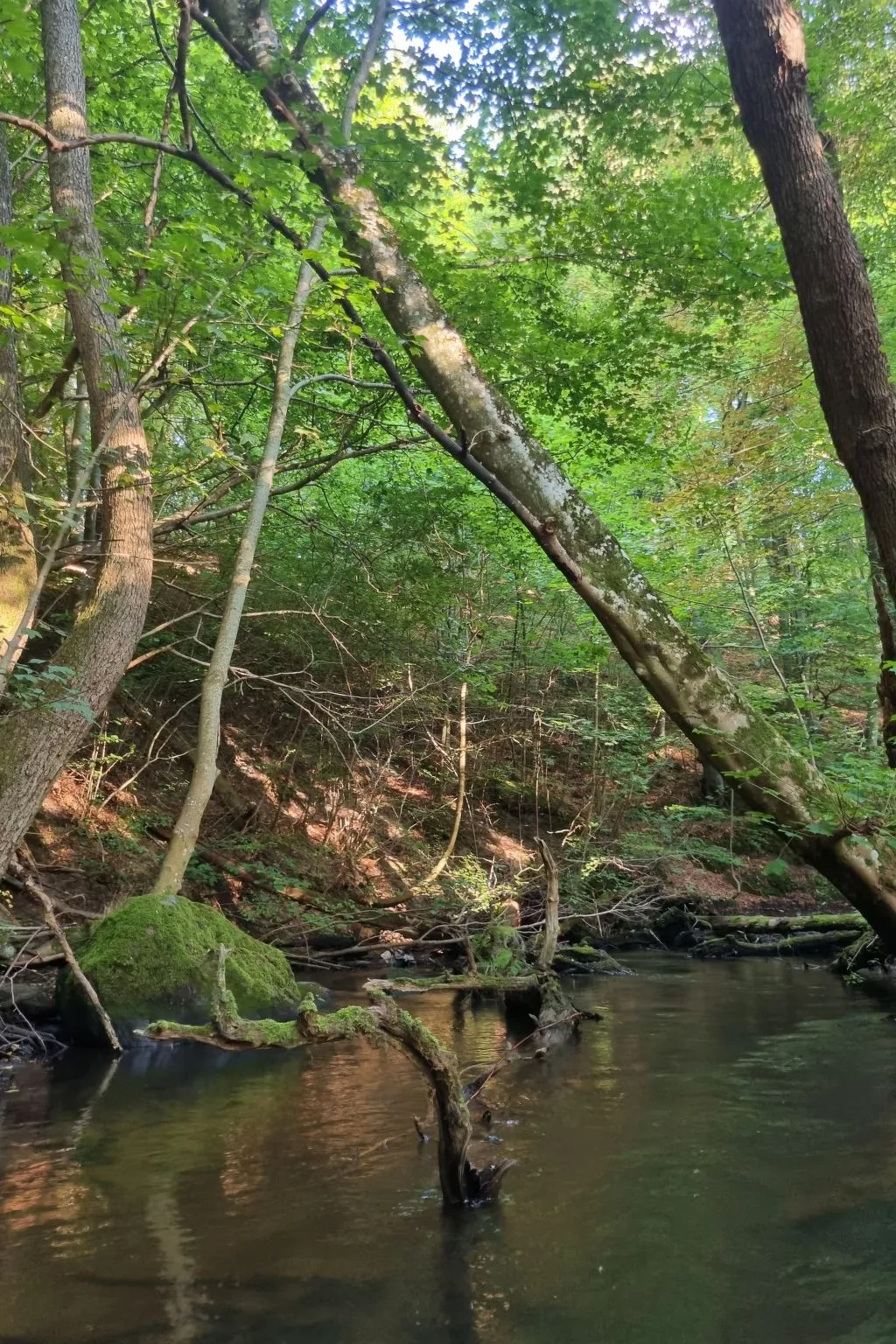 Lublewo21 Ferienhäuser - Buiten