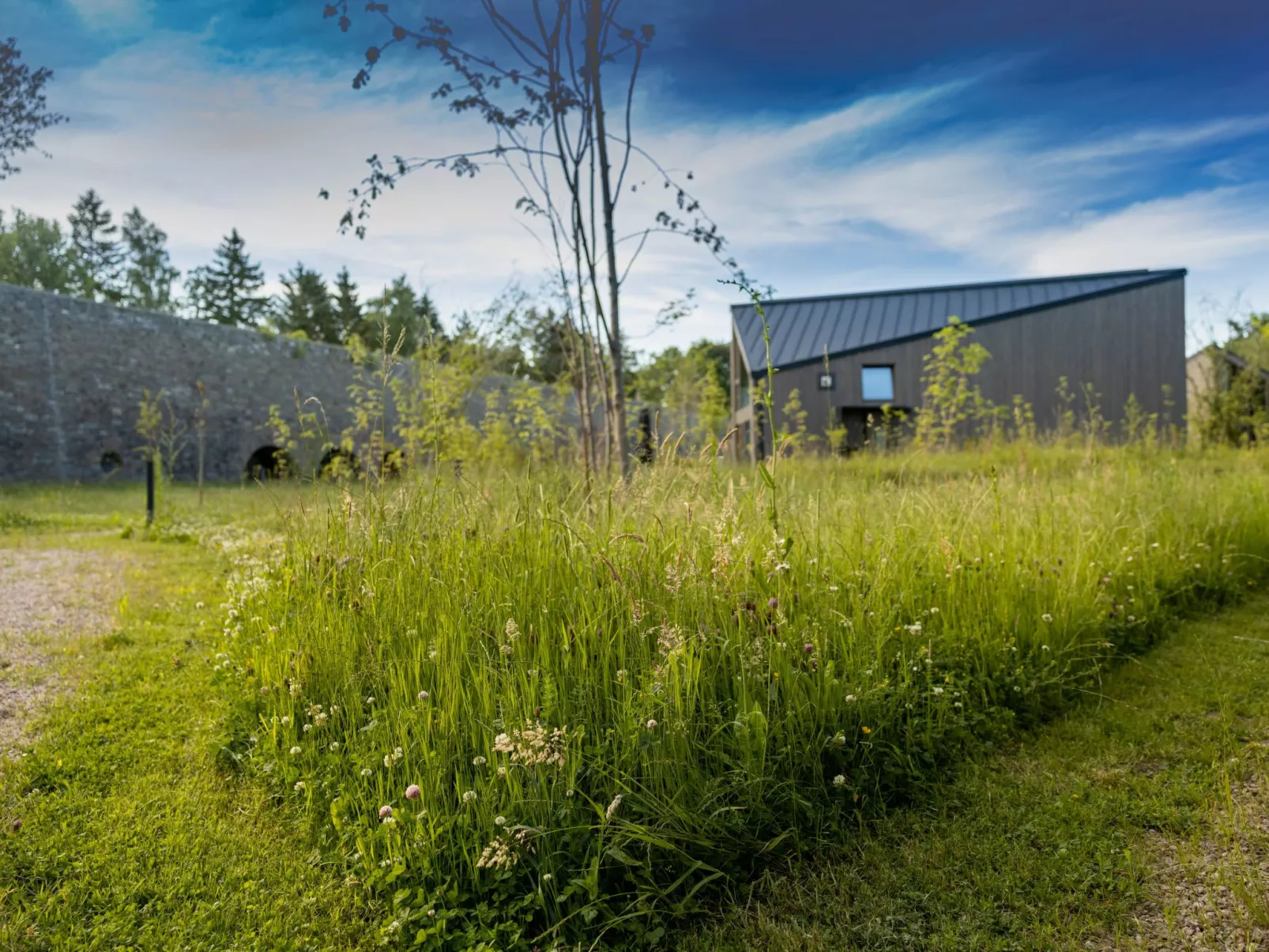 (VI) Cabin Cozy - Buiten