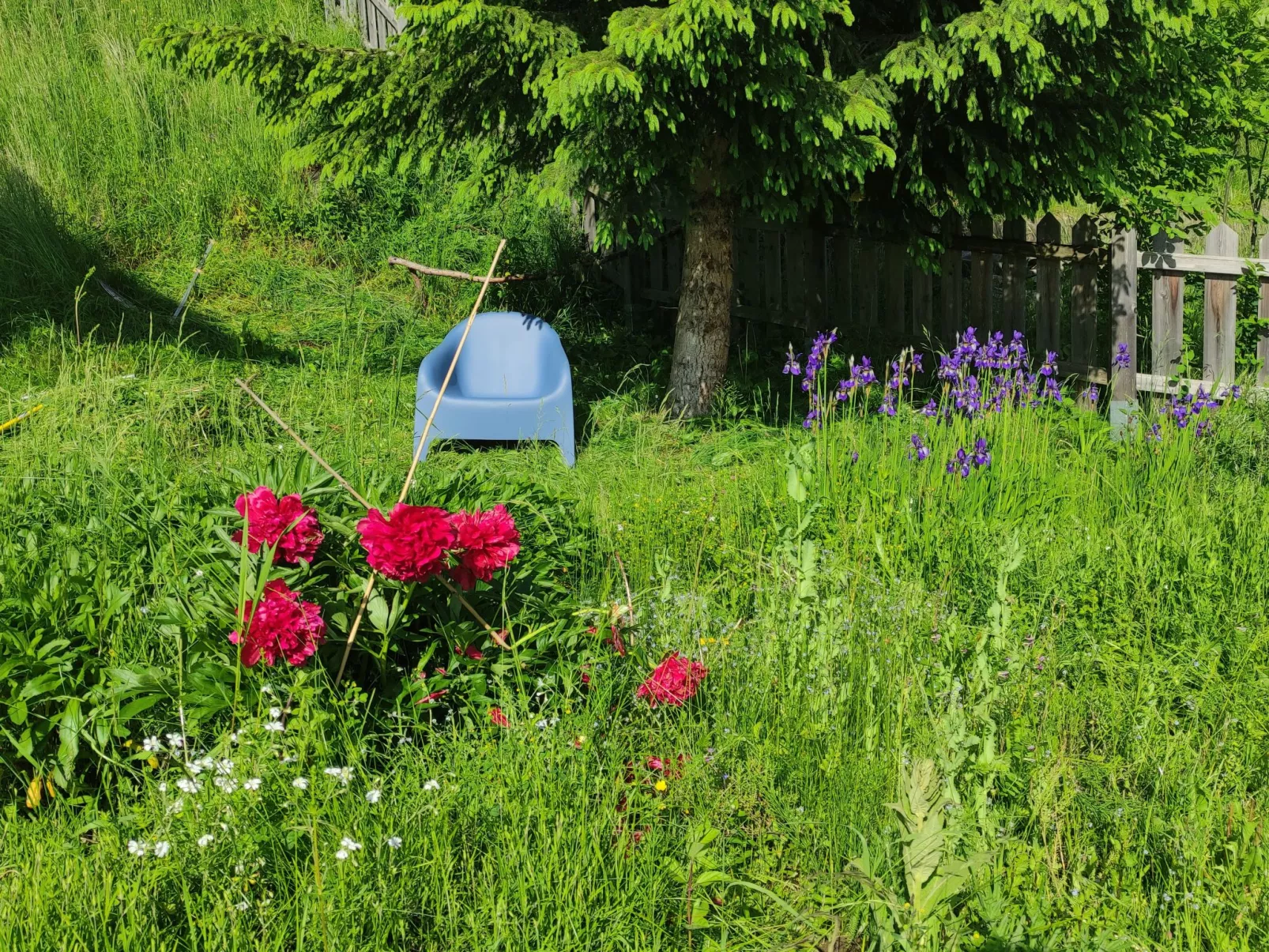 Sonniges Berghaus, ruhige Lage, phantastischer Weitblick-Buiten