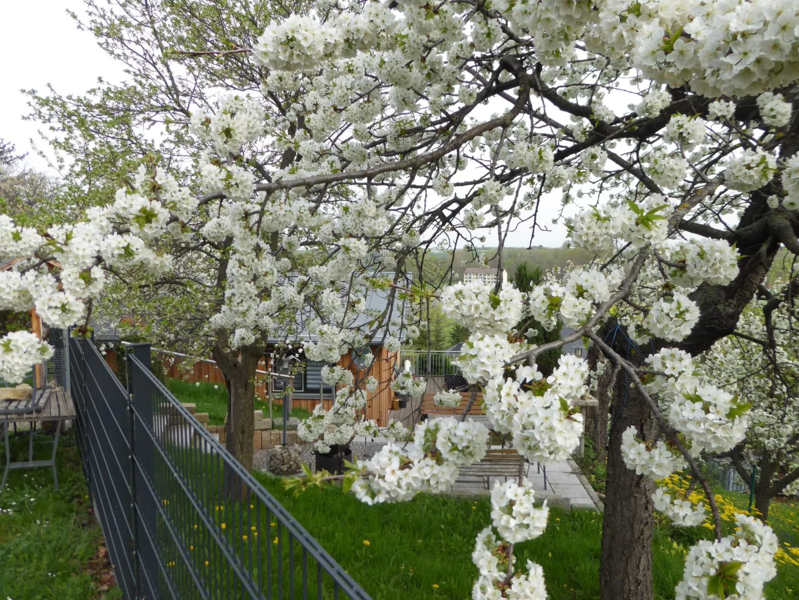 Teufelsmauerblick-Buiten