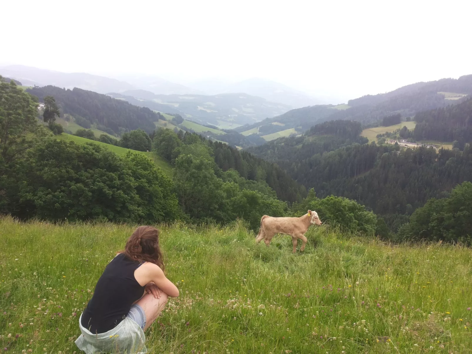Alm-Ferienhaus-Binnen