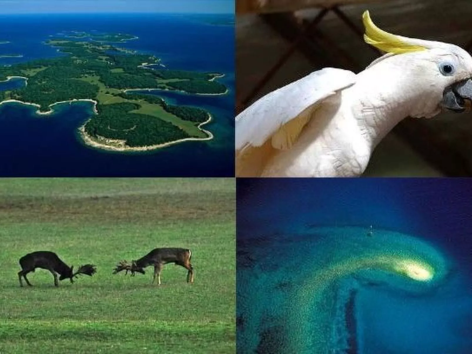 Villa Grofica, beheizter Pool, Taverne, Strandnähe-Binnen