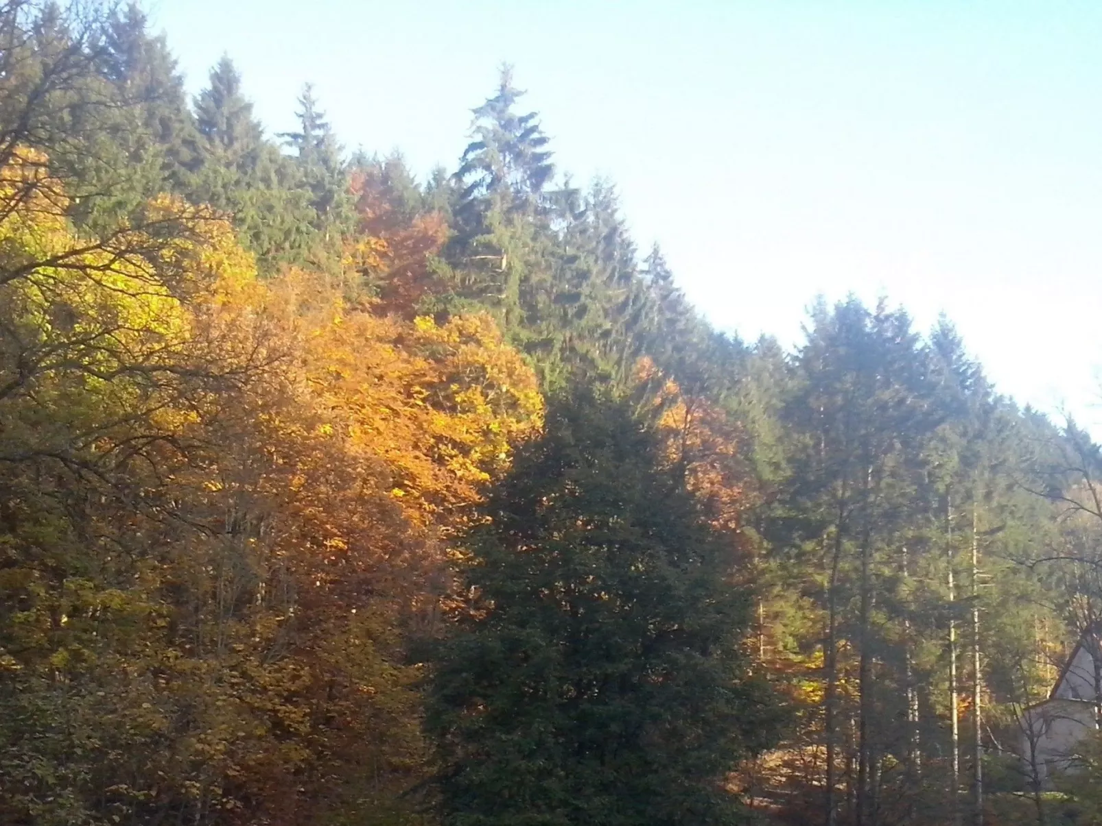 Appartement in Steina mit Terrasse und Garten - Buiten