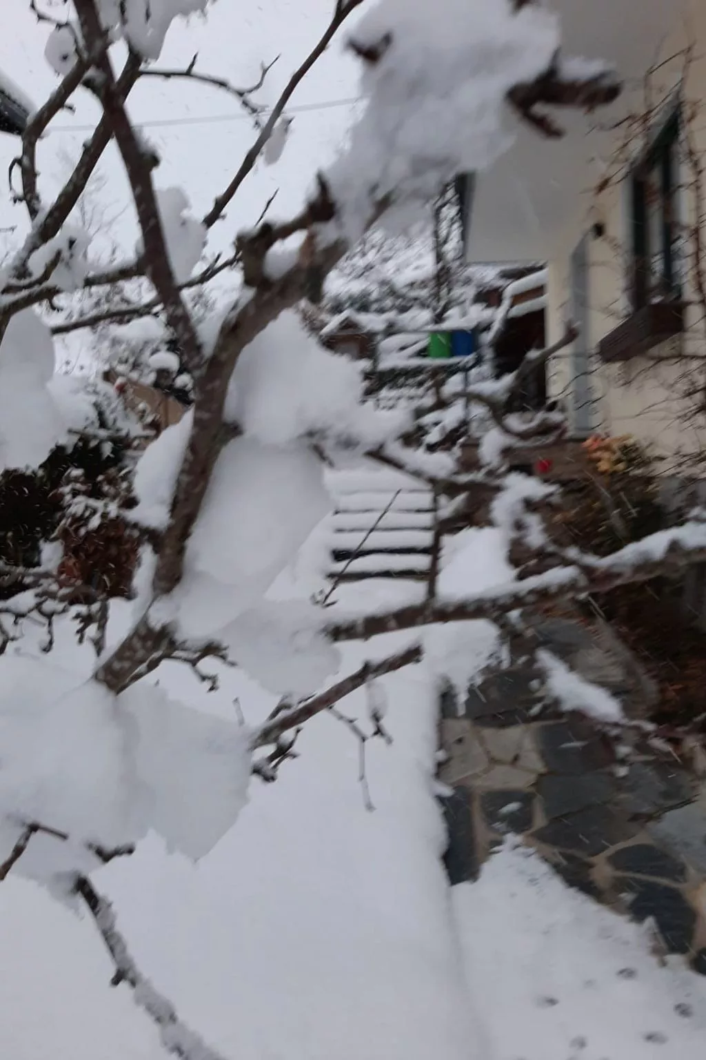 Haus Bernkogelblick in Goldegg-Buiten