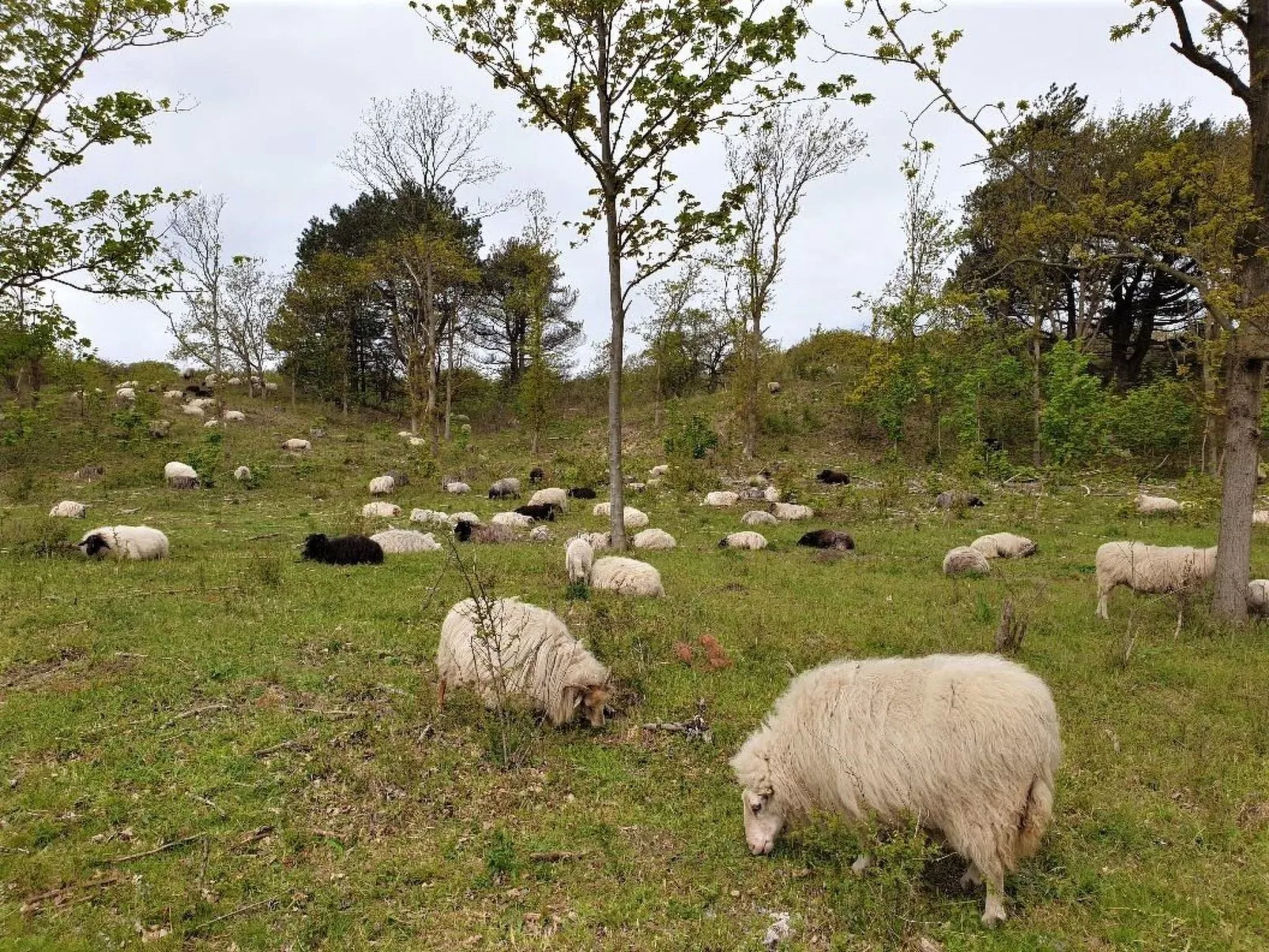 "Windhoos" mit privatem Garten und Terrasse-Buiten