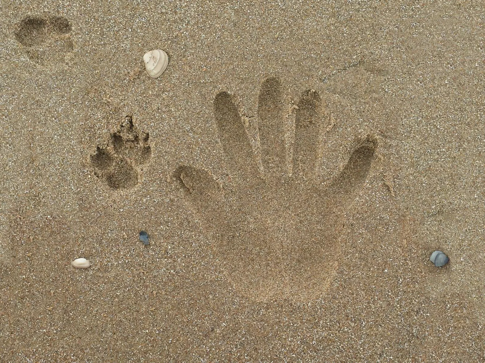 SummerBreak-Image-tags.info