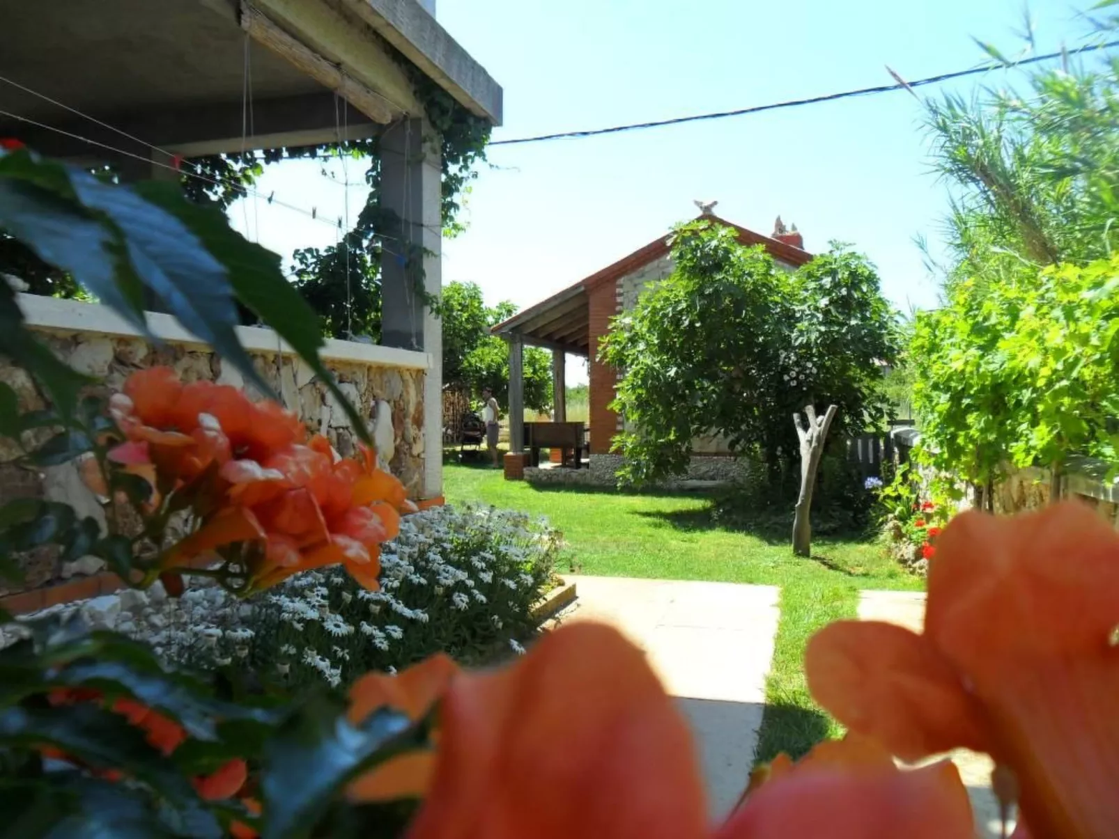 Wohnung Delfin mit großer Terrasse - TA Leut Agency-Buiten